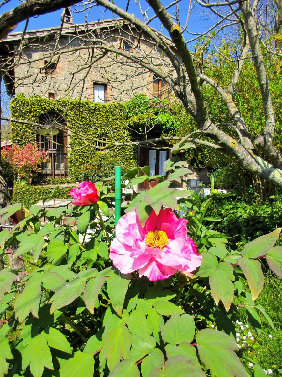 Iorio's Country House photo 4