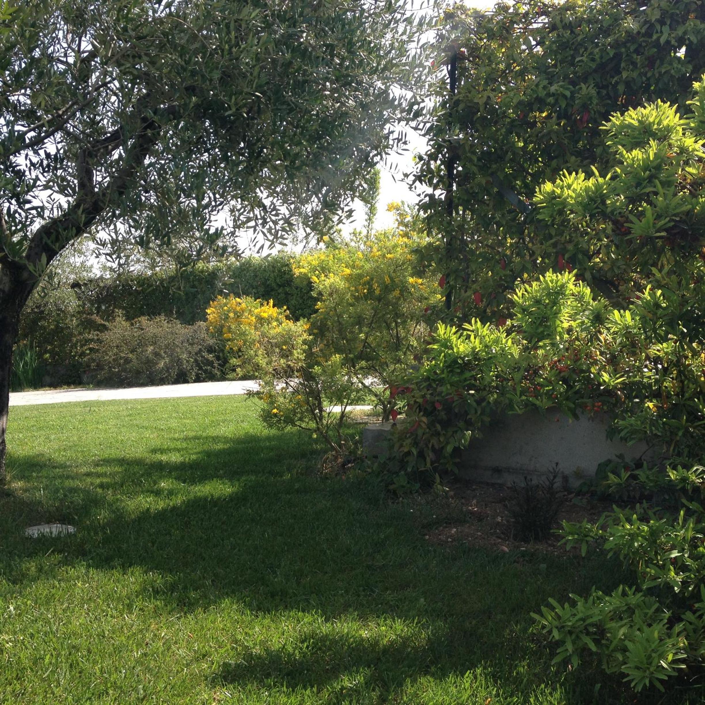 Gioia In Collina