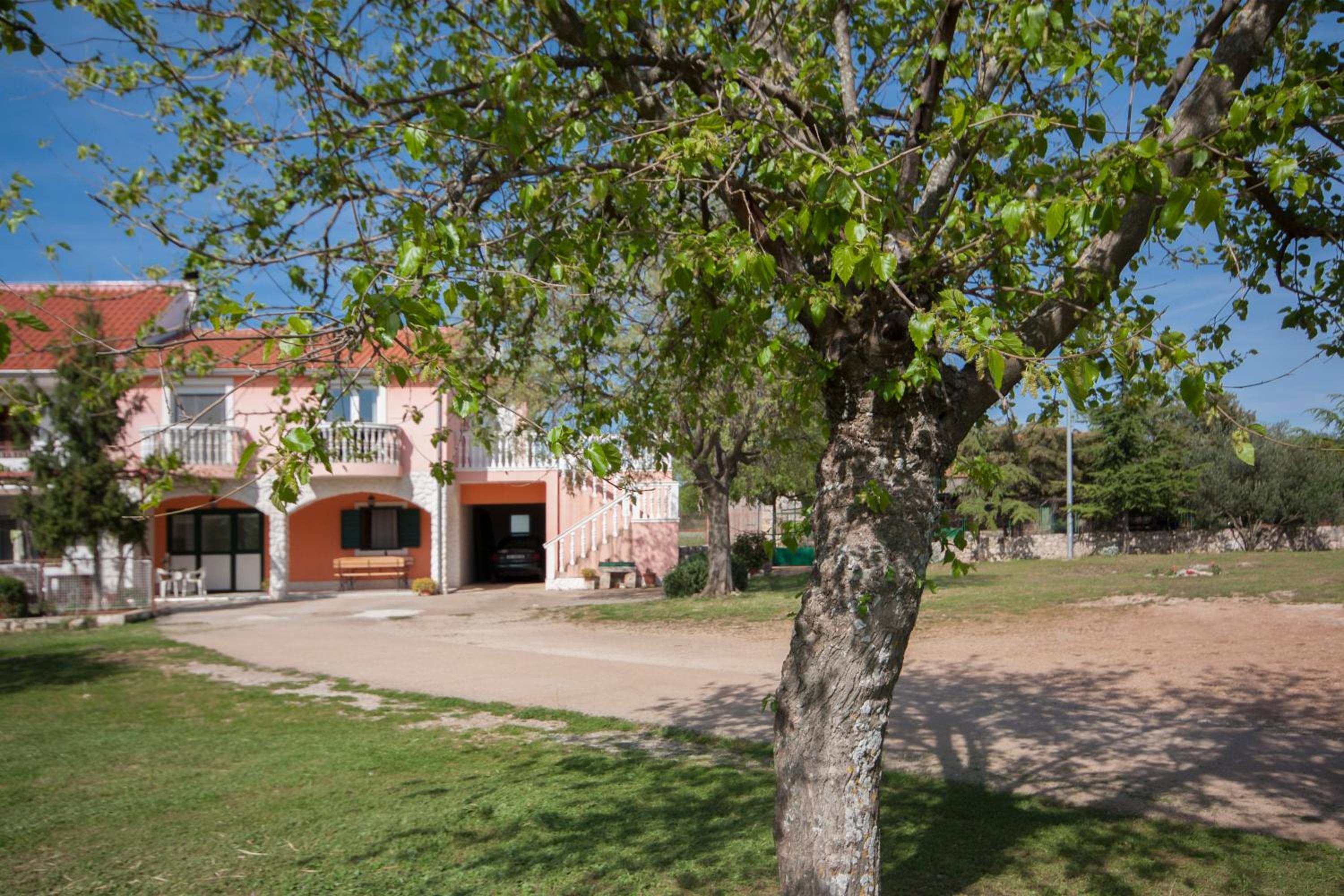 Photo 27