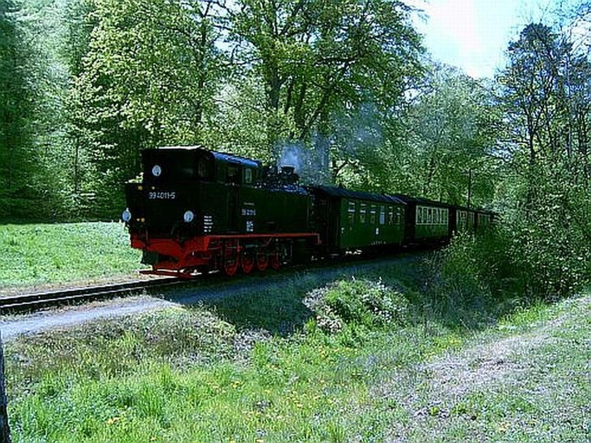 Photo 46