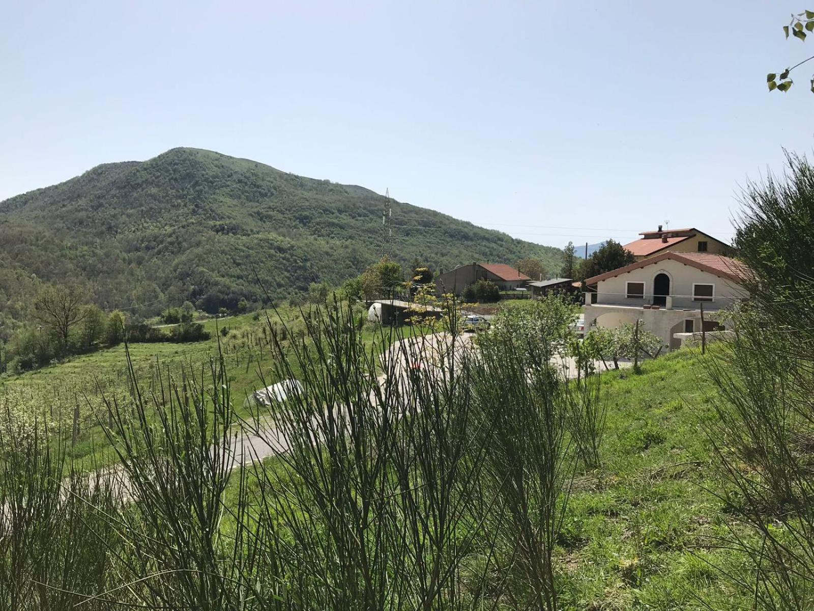 B&B Masseria Cozzi view 5