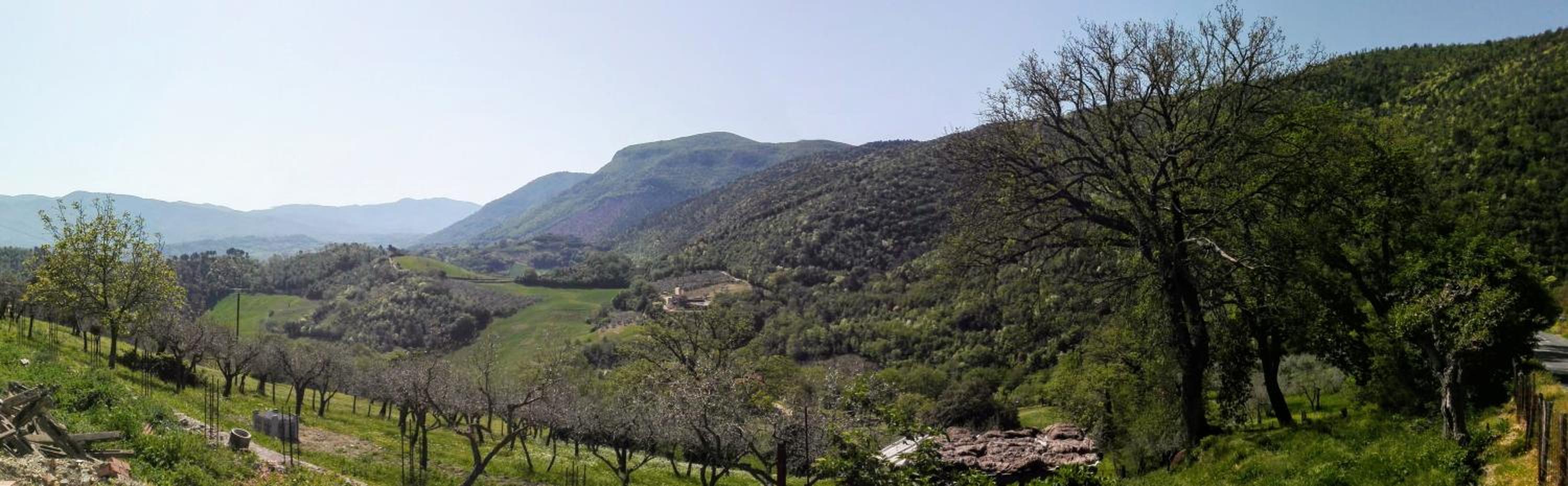Montanari Agrivillage view 5