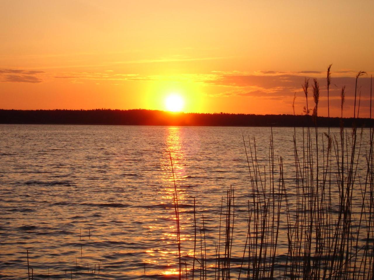 Photo 50