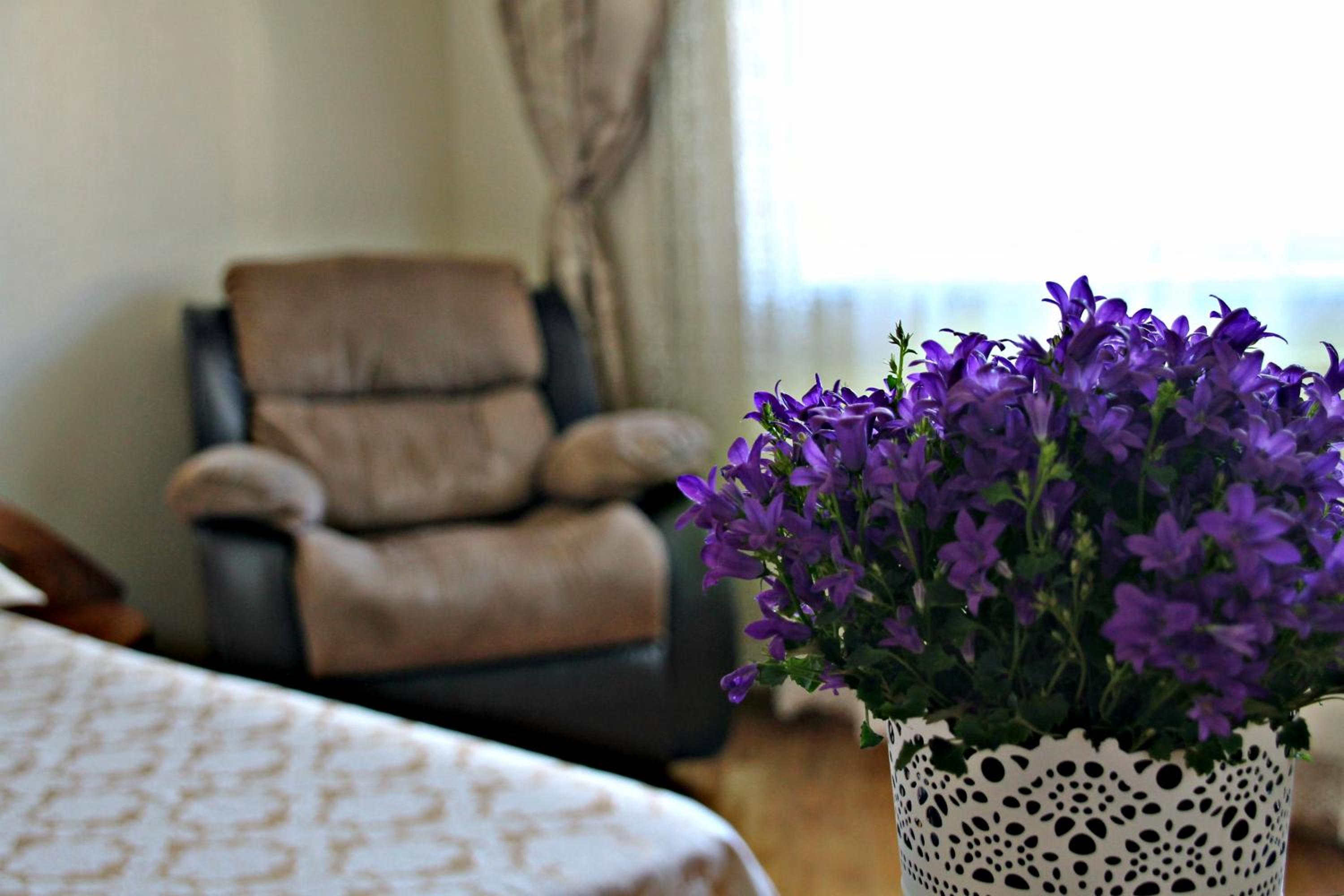 Photo 51