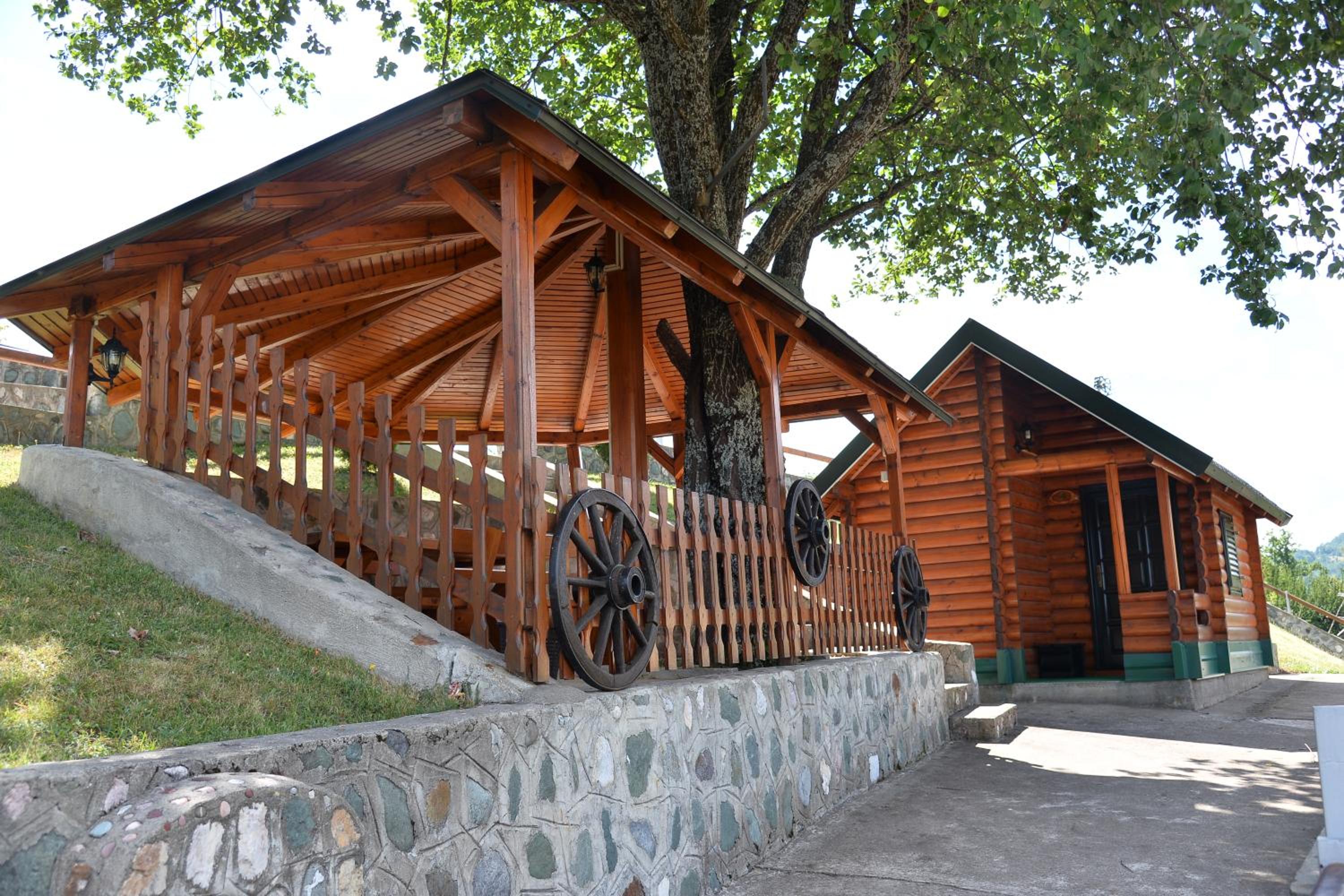 Photo 14