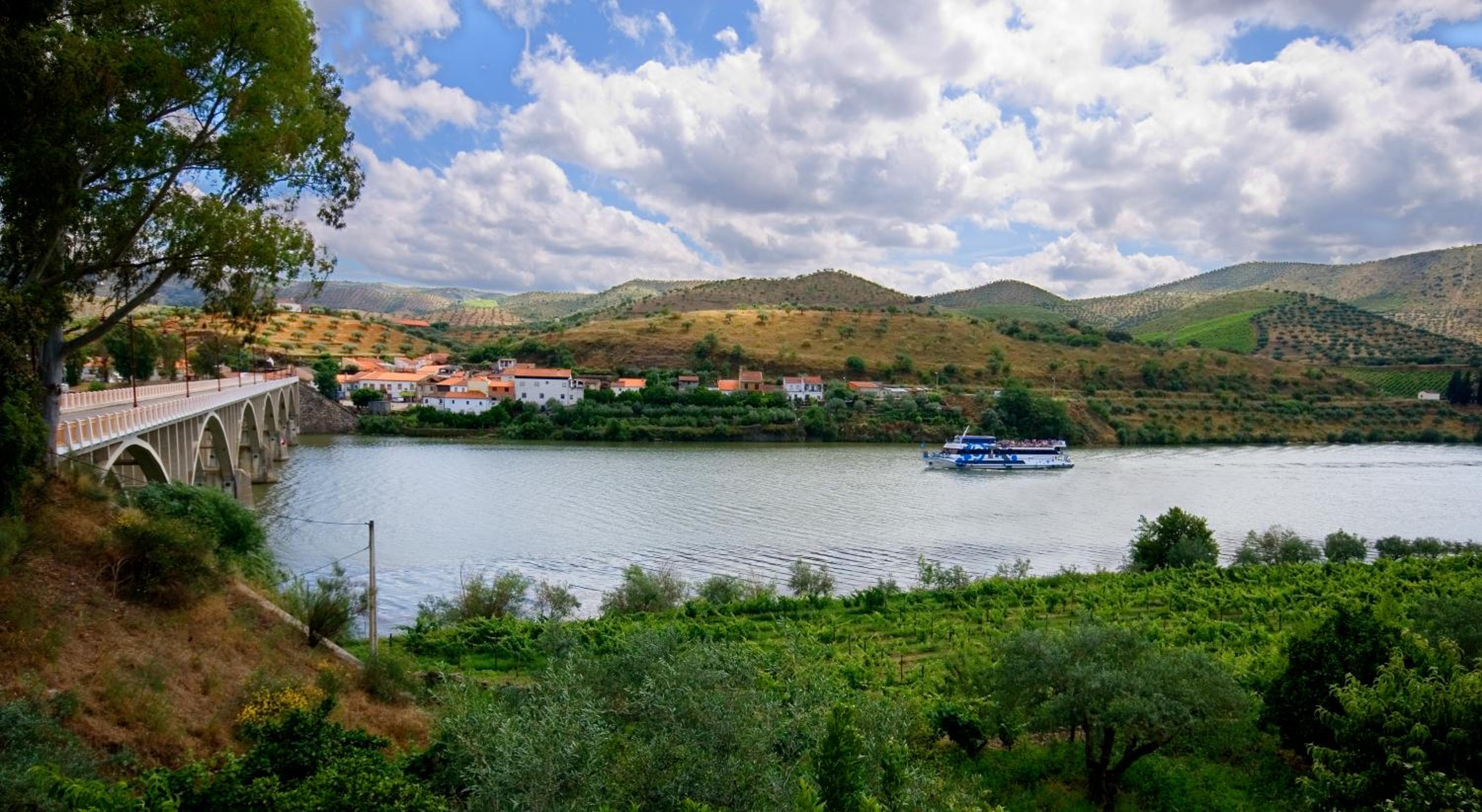 Quinta Da Ponte view 5