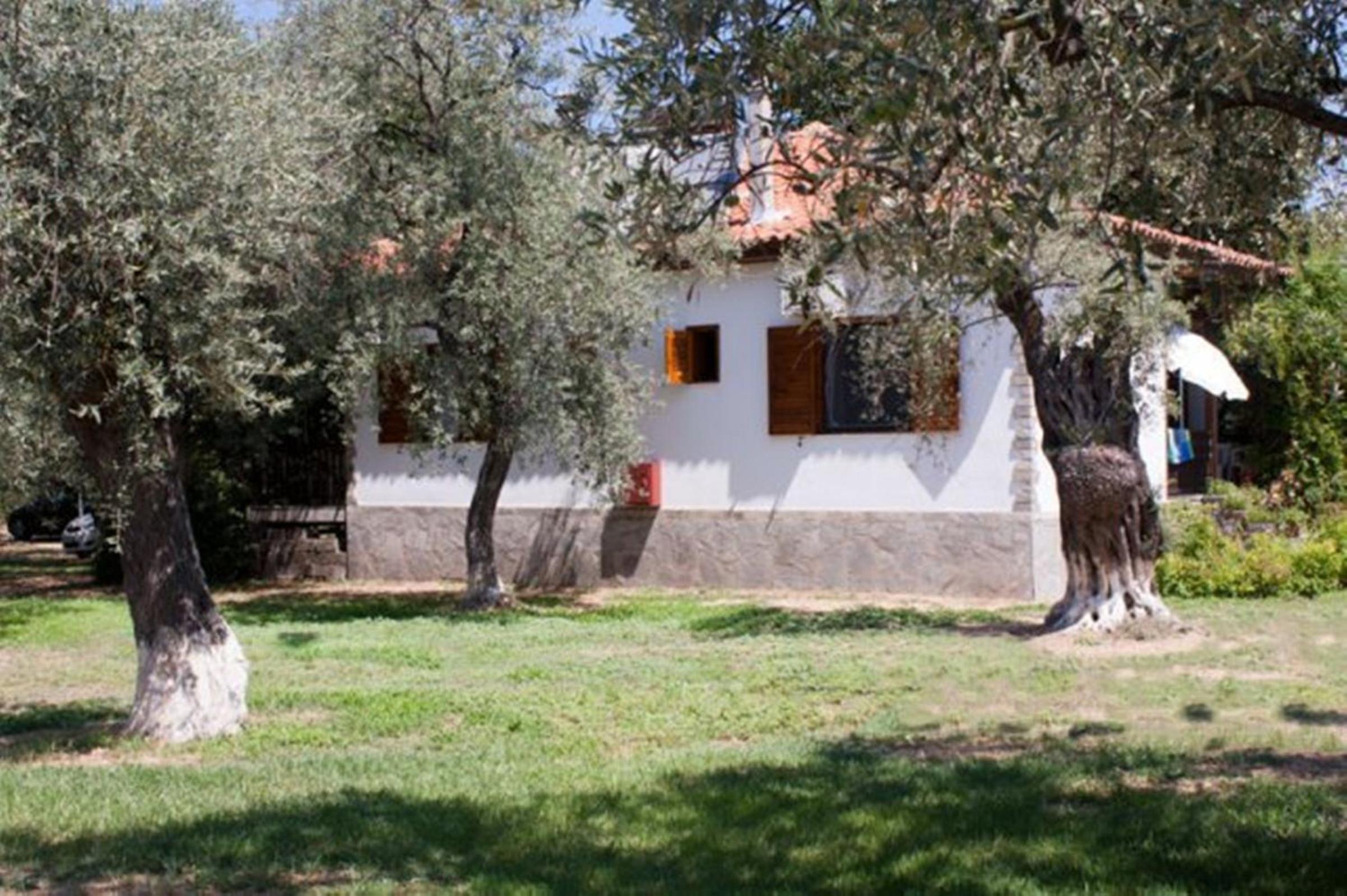 Photo 32