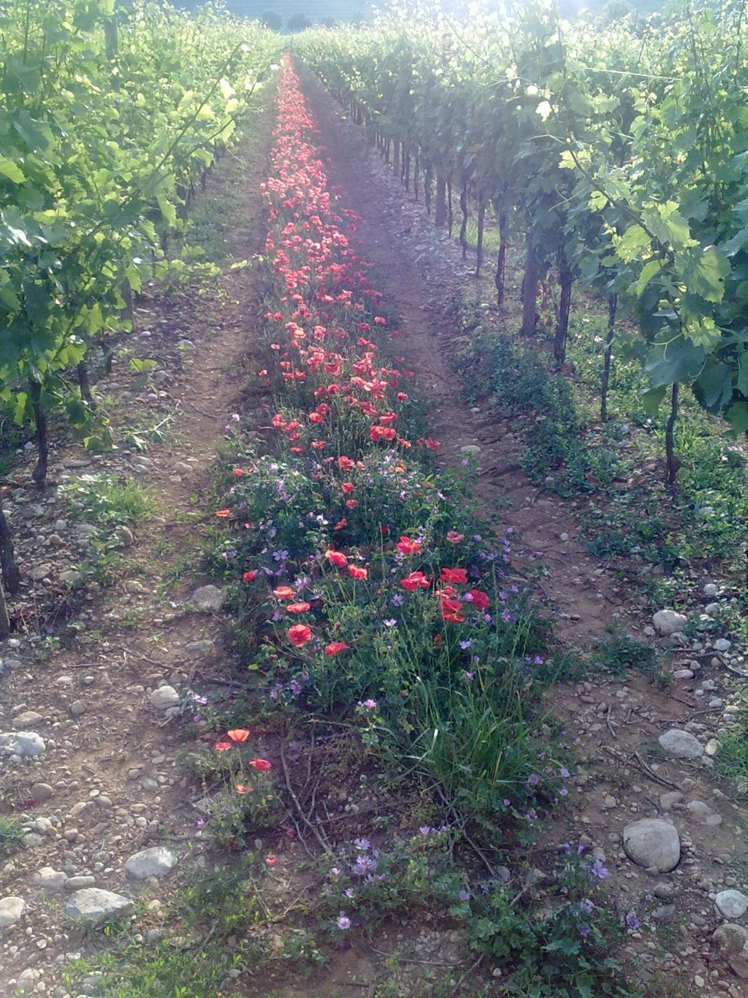 AGRITURISMO Casa Riz