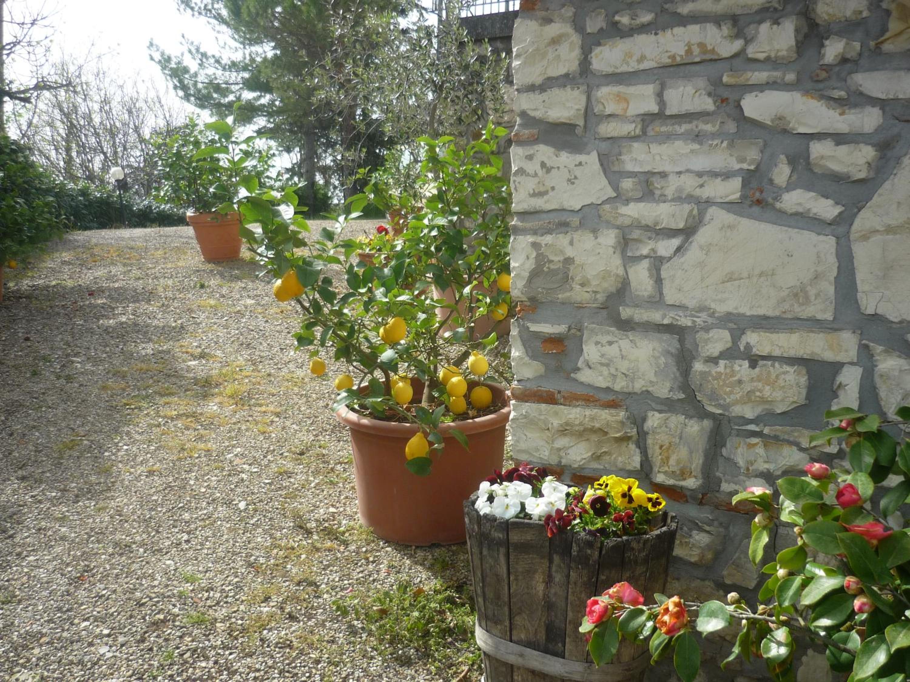 Photo 15