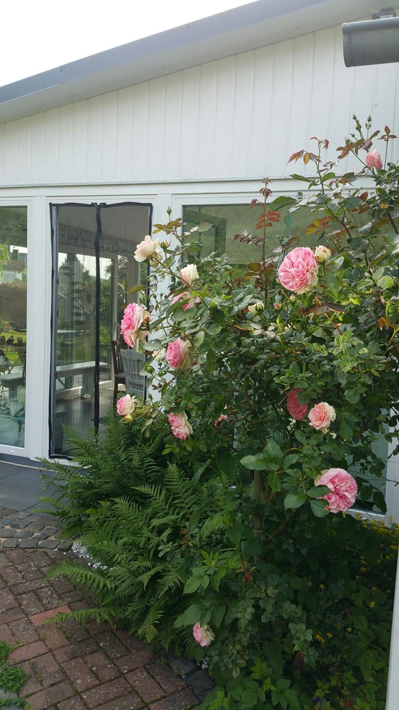 Villa Jani b&b
