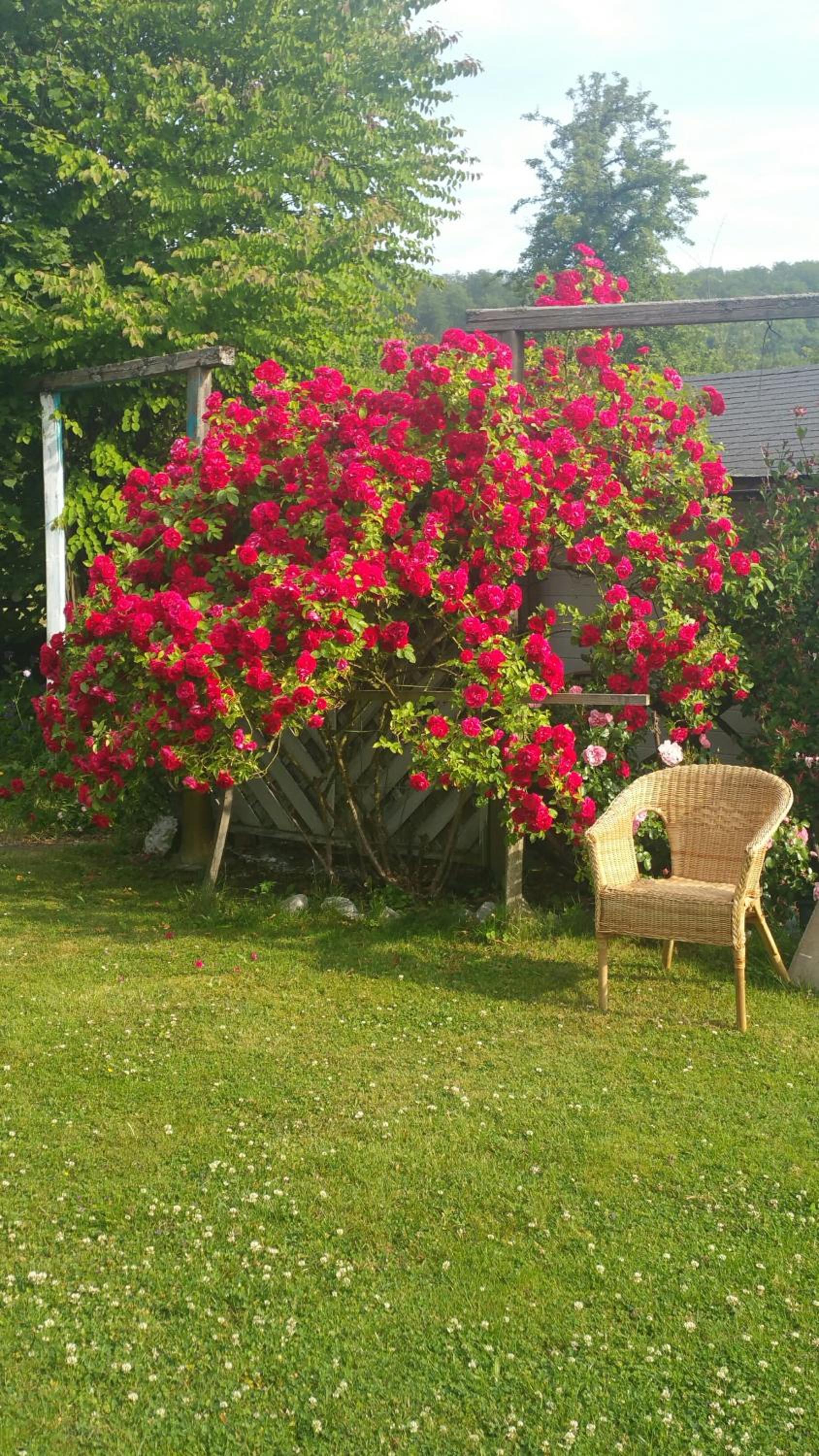 Villa Jani b&b