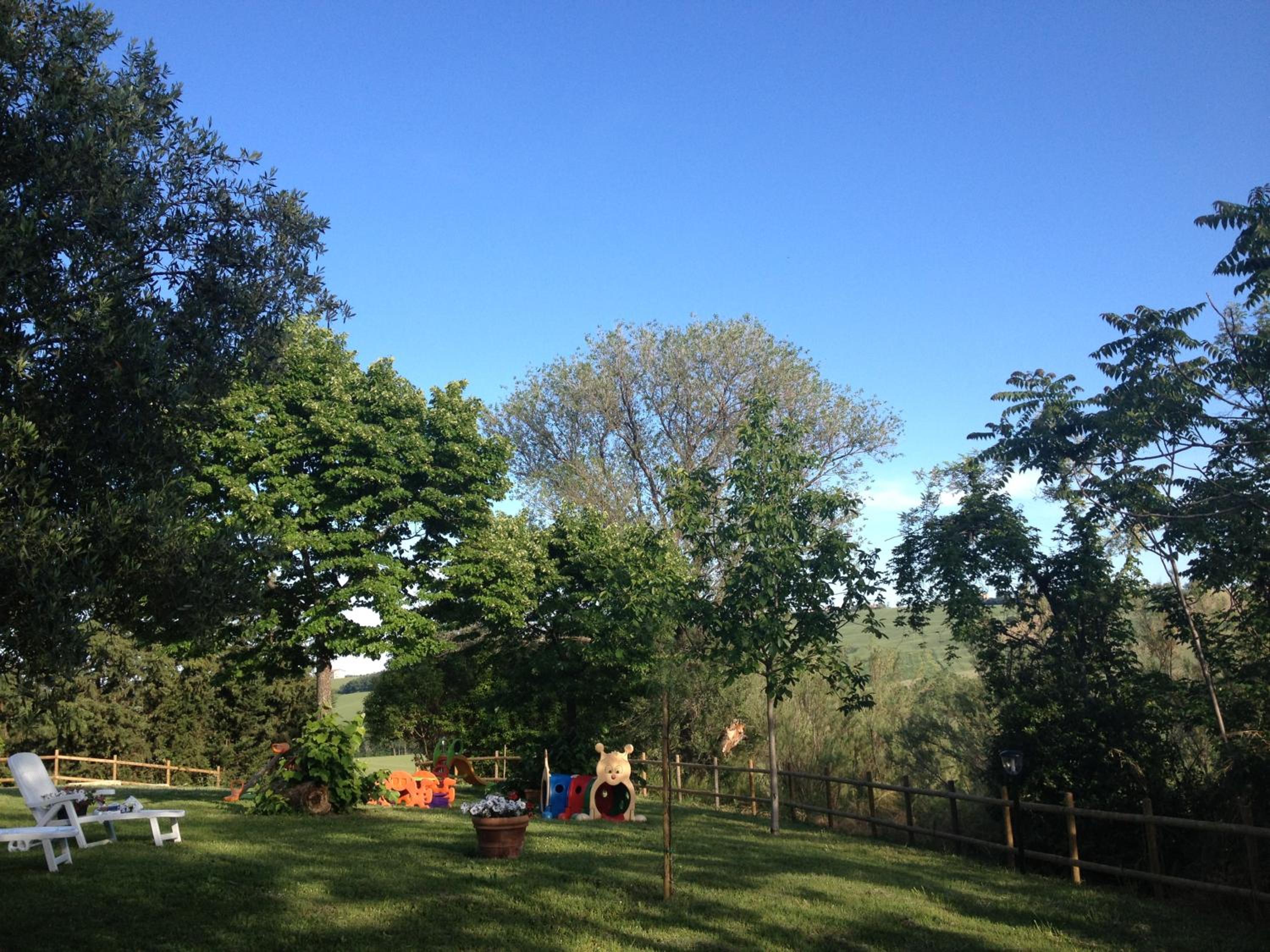 Photo 49