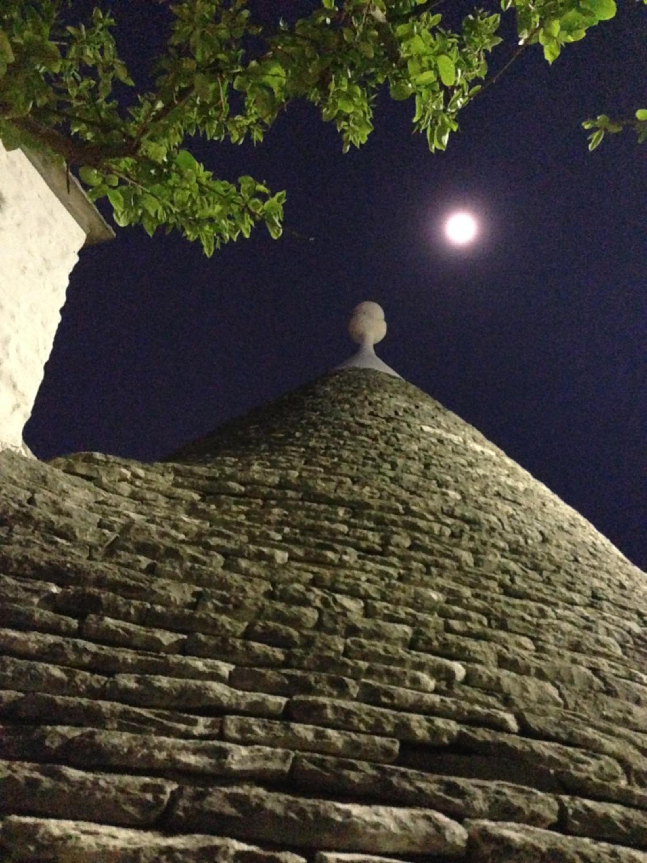 Photo 37