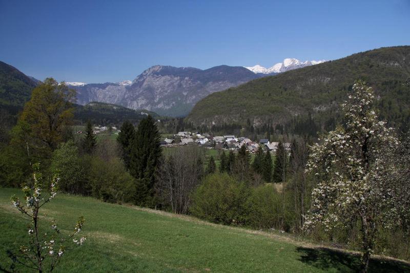 Photo 26