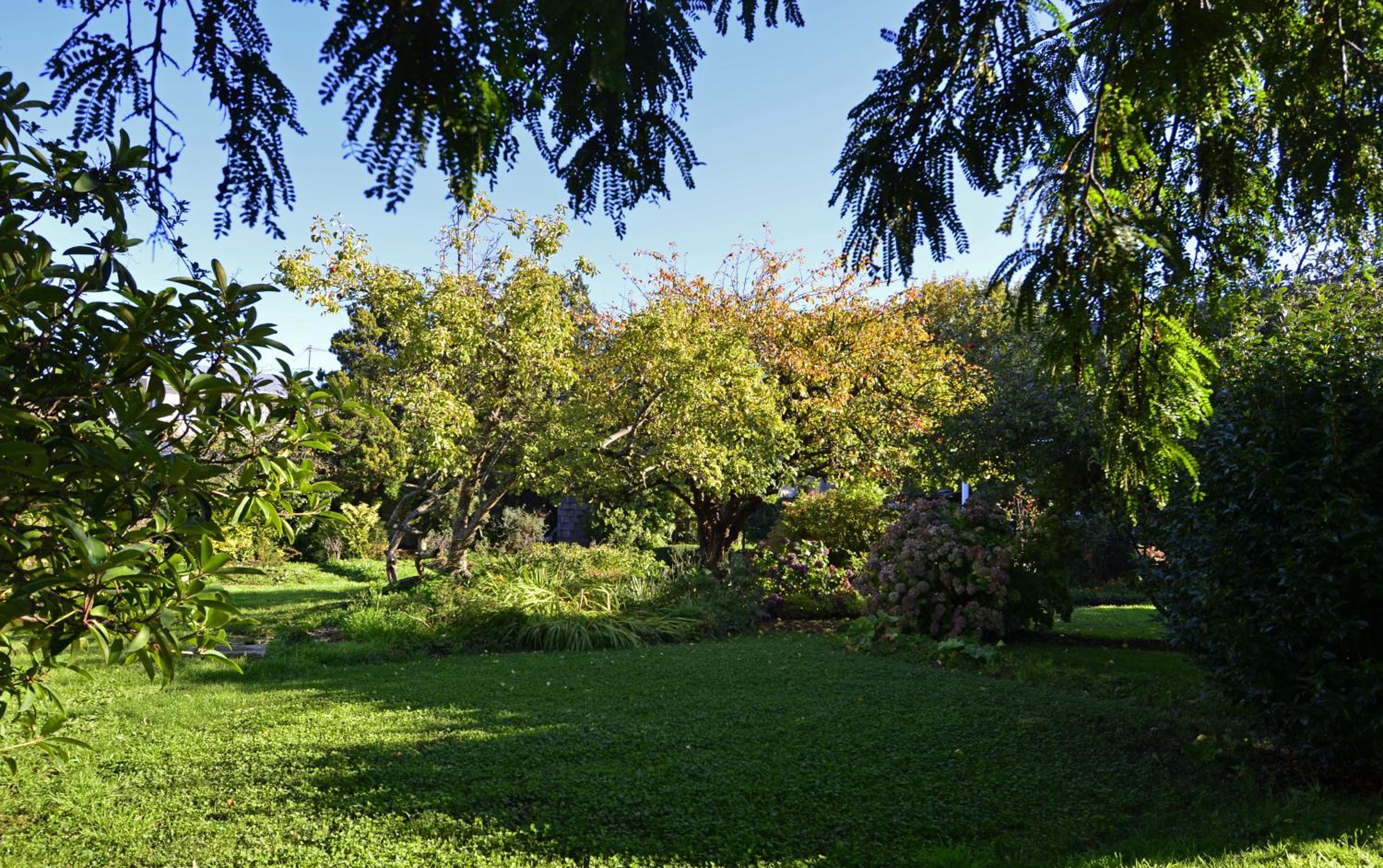 Casa Apel Hostel