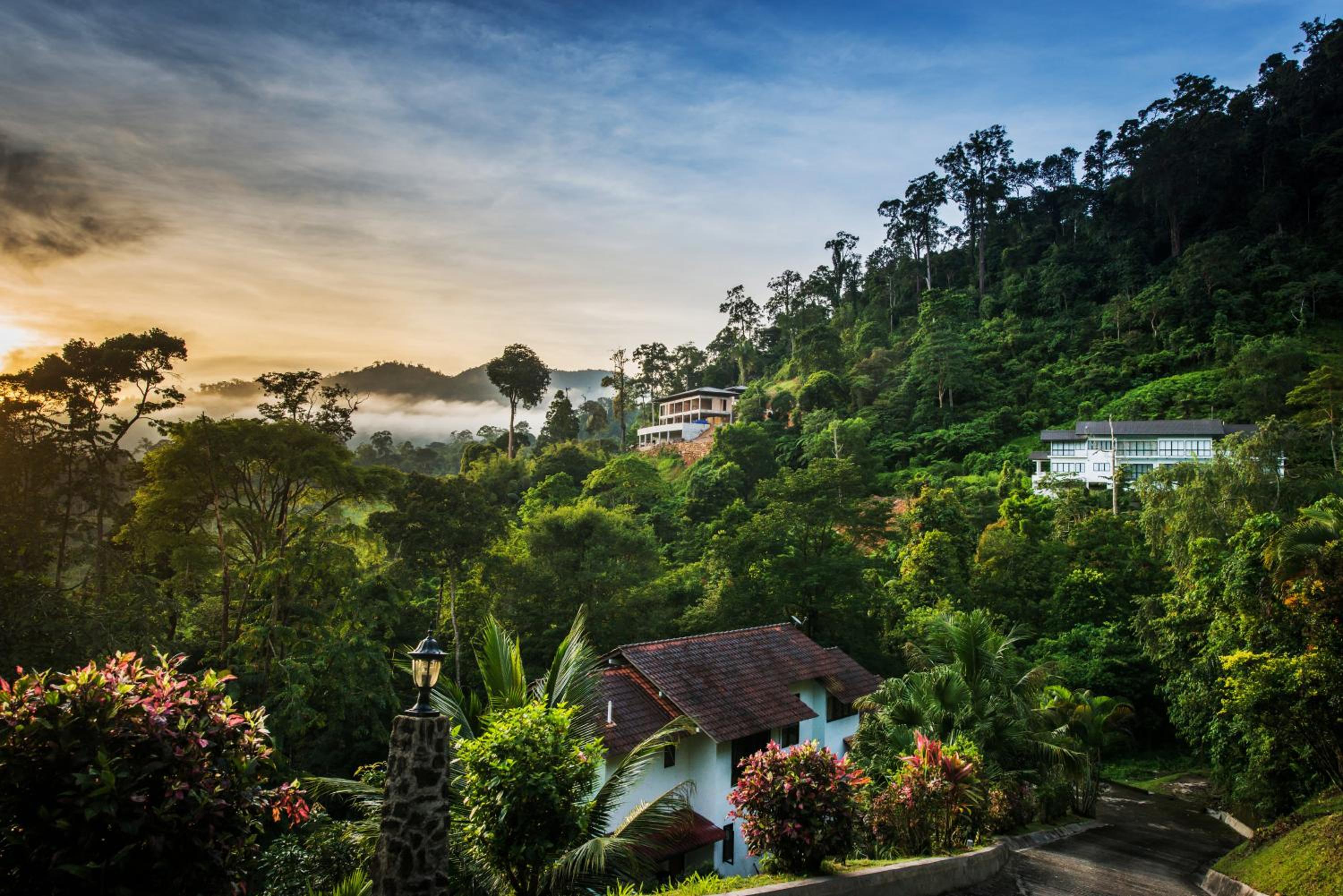 Rest Pause Rainforest Retreat view 3
