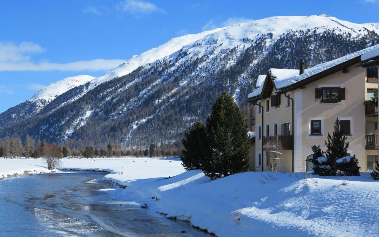 Marmotta view 2
