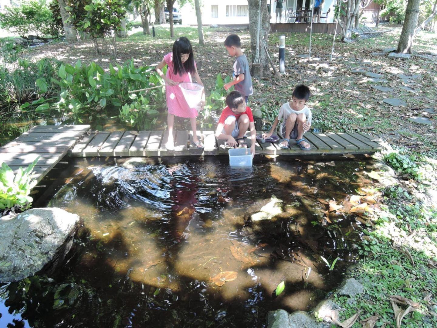 Photo 47