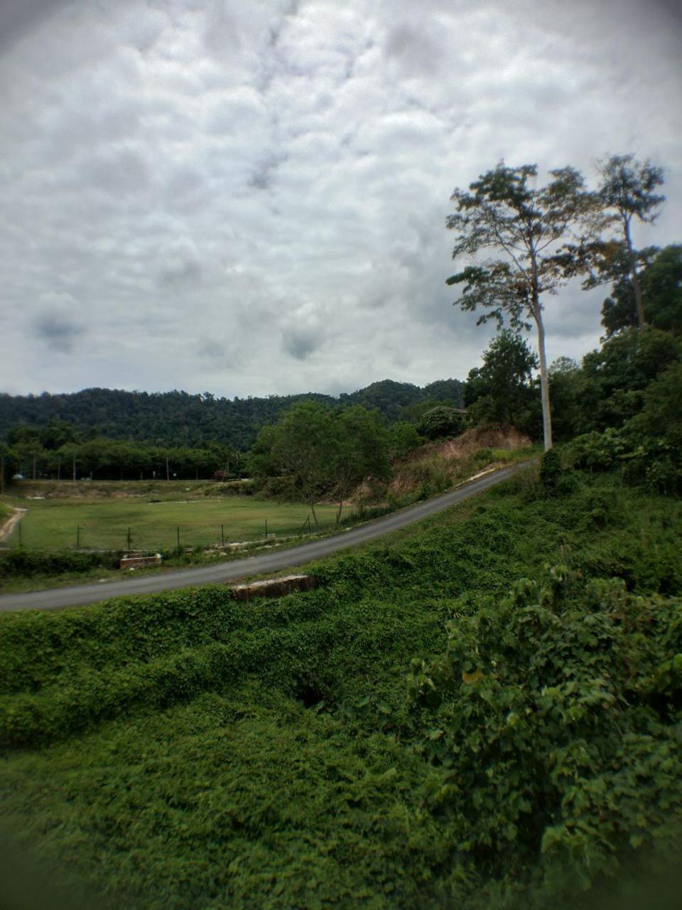 Hana Guesthouse photo 5