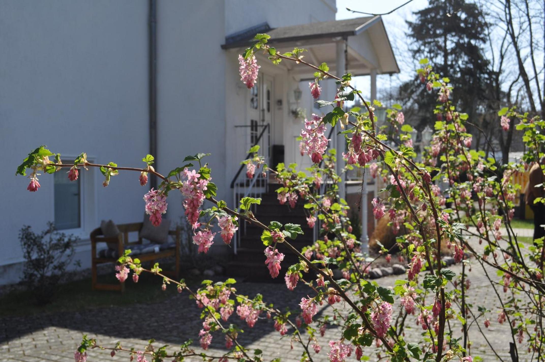 Pension Villa Frohsinn Sellin auf Rügen