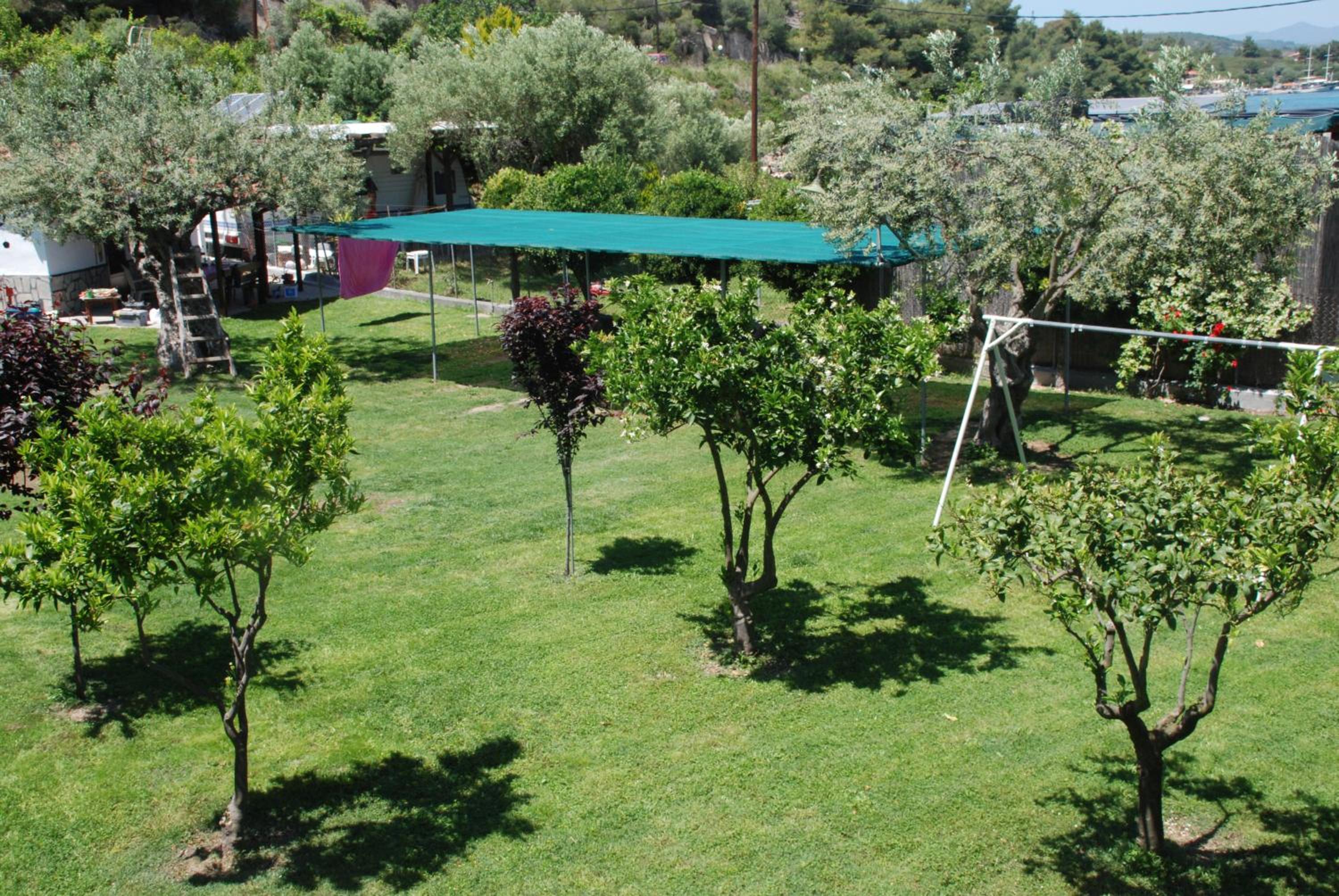 Photo 7