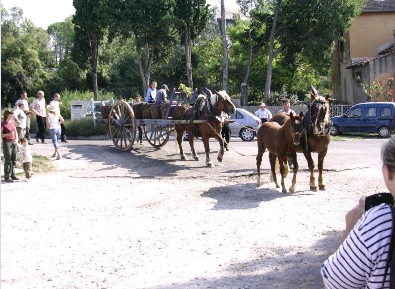 La Migrane