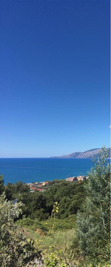 La Bouganville
