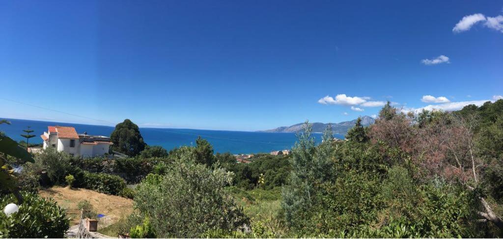 La Bouganville