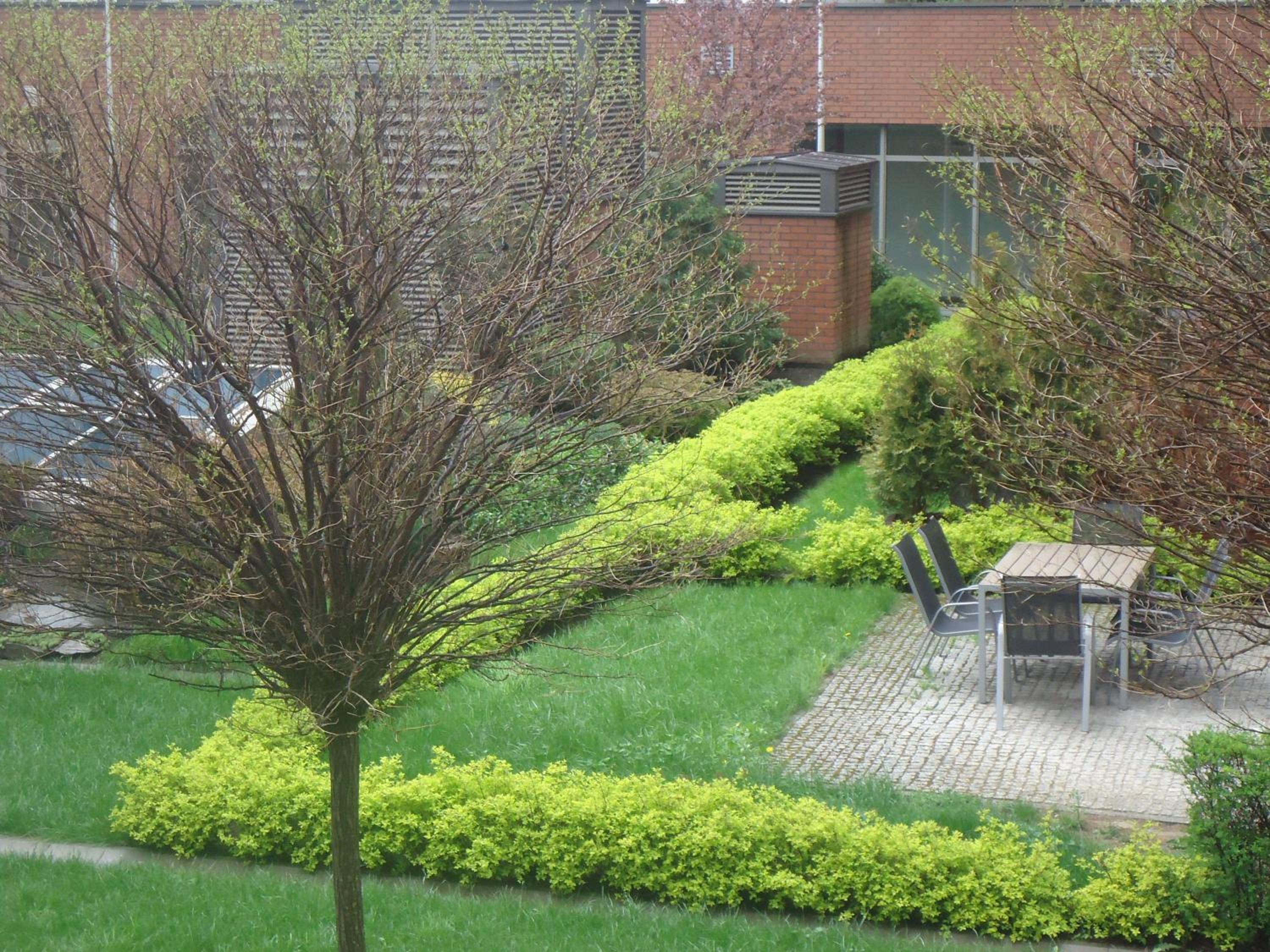 Photo 12