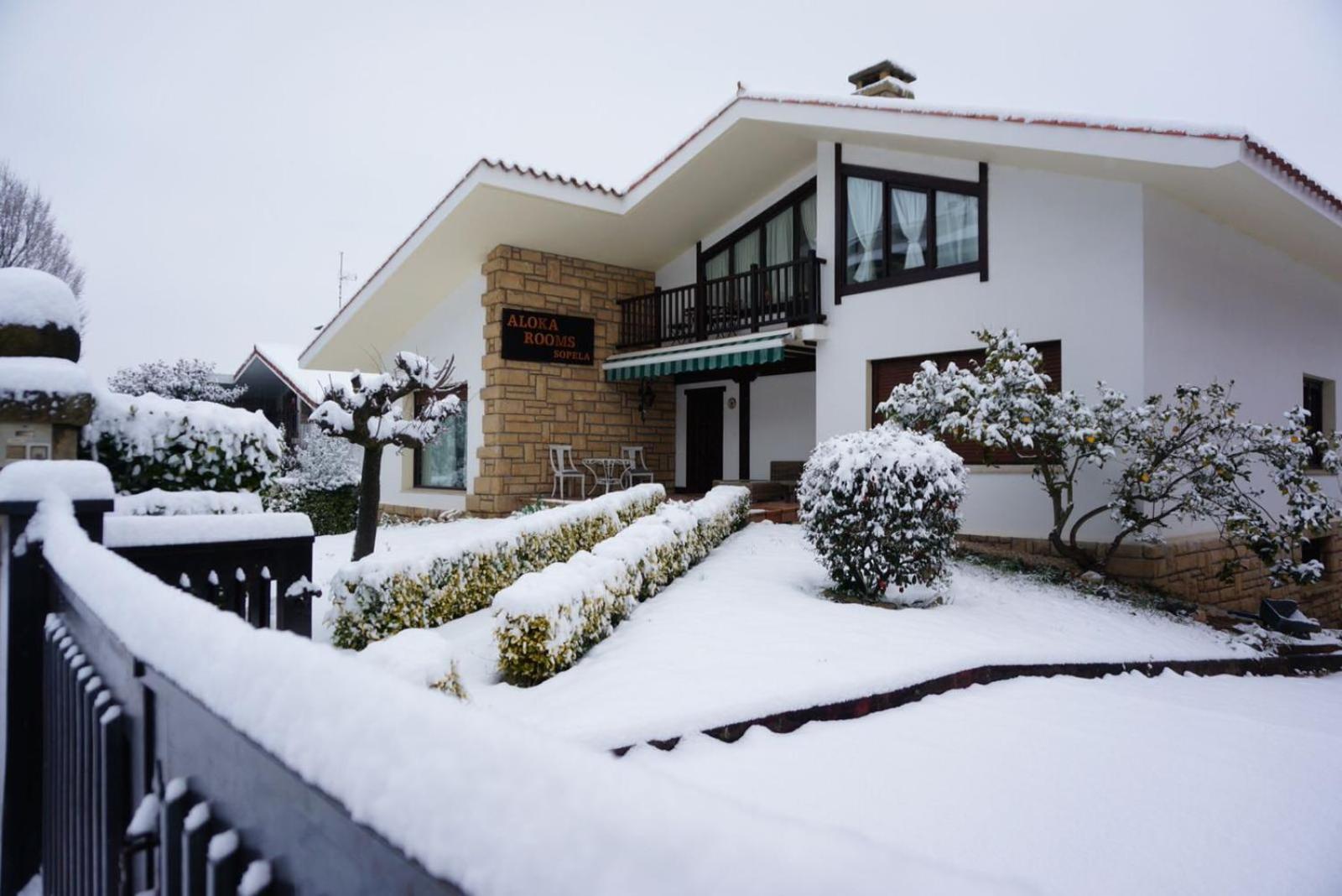 Aloka rooms Sopela view 4