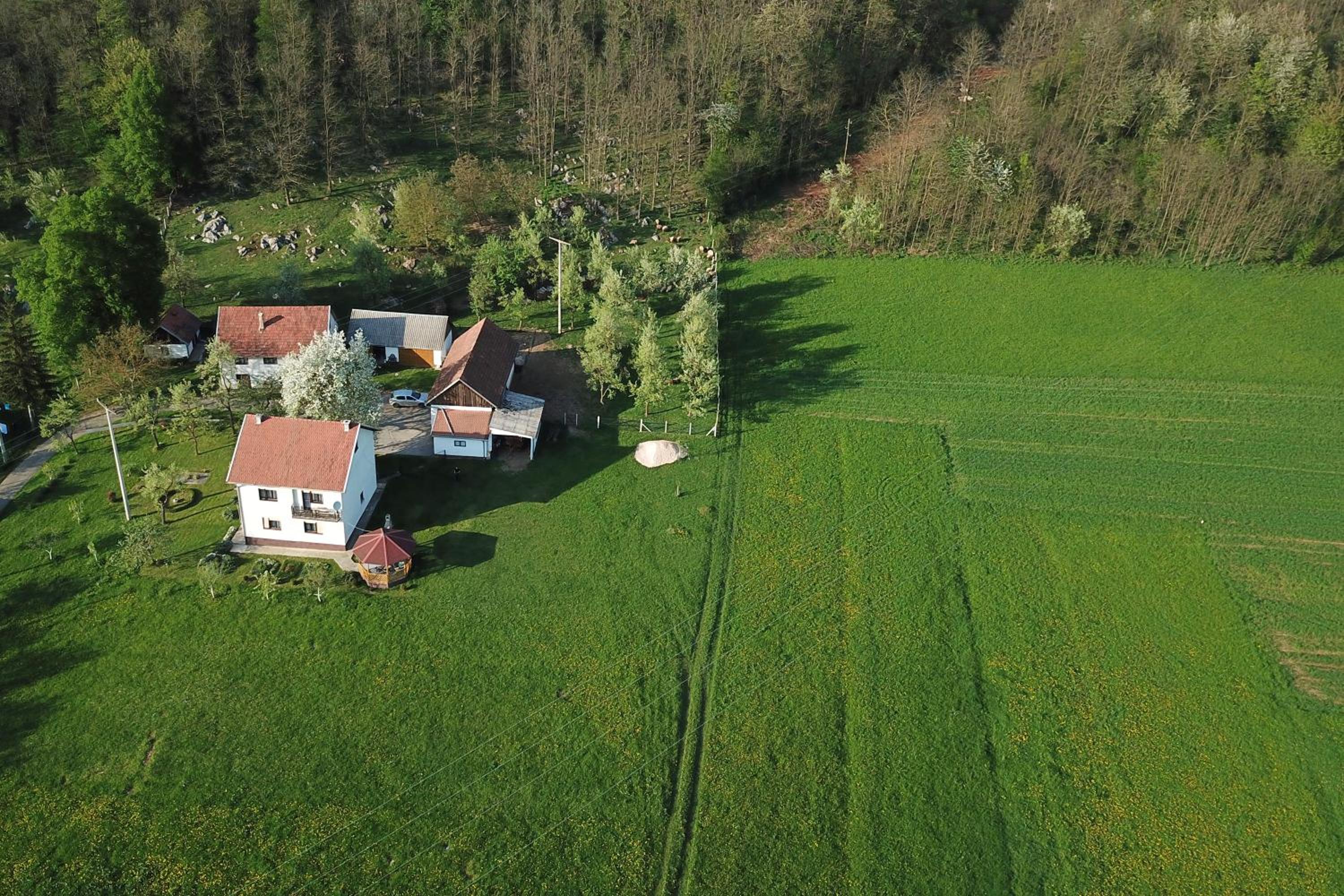 Apartman Karlo