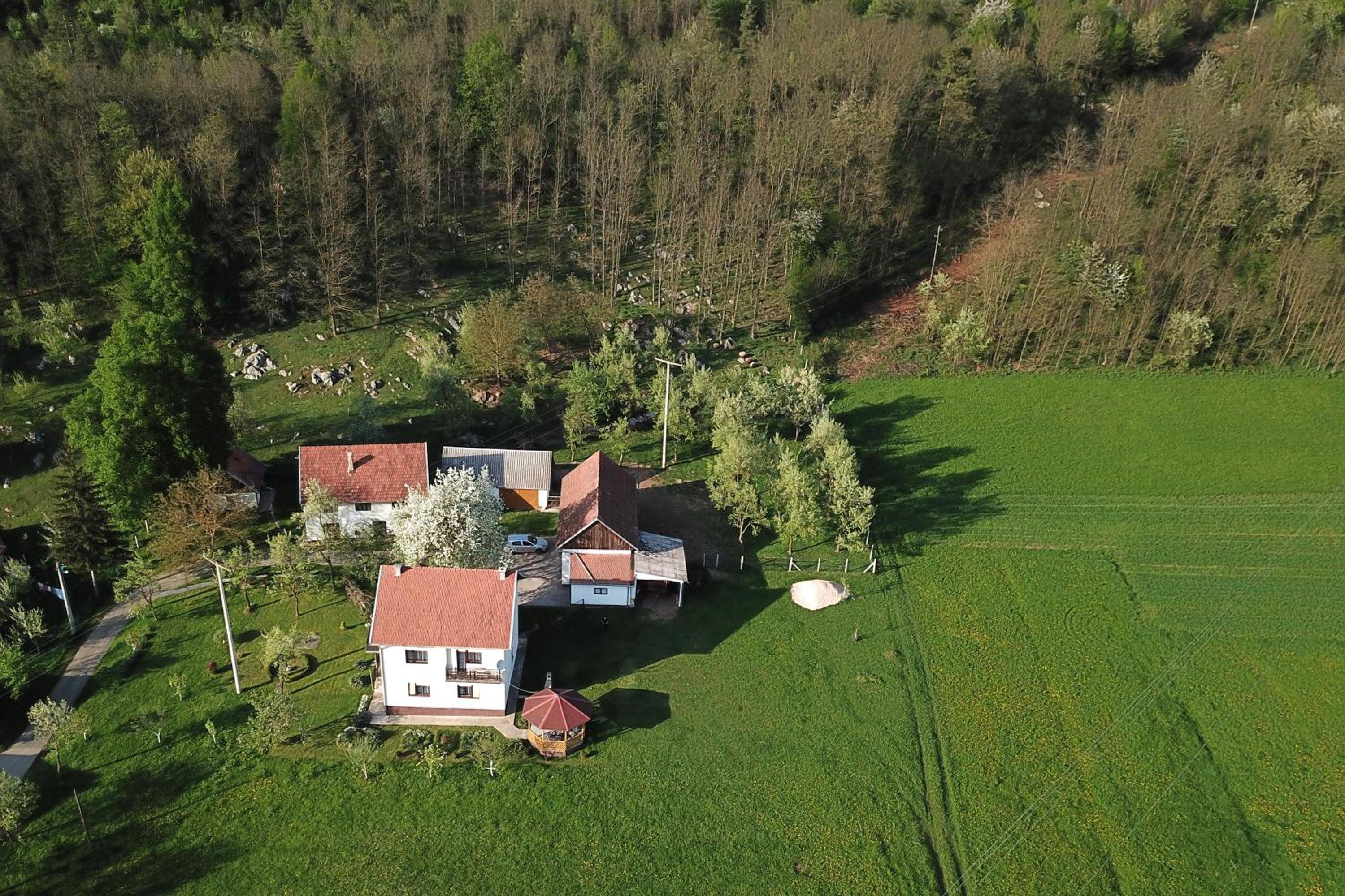 Apartman Karlo