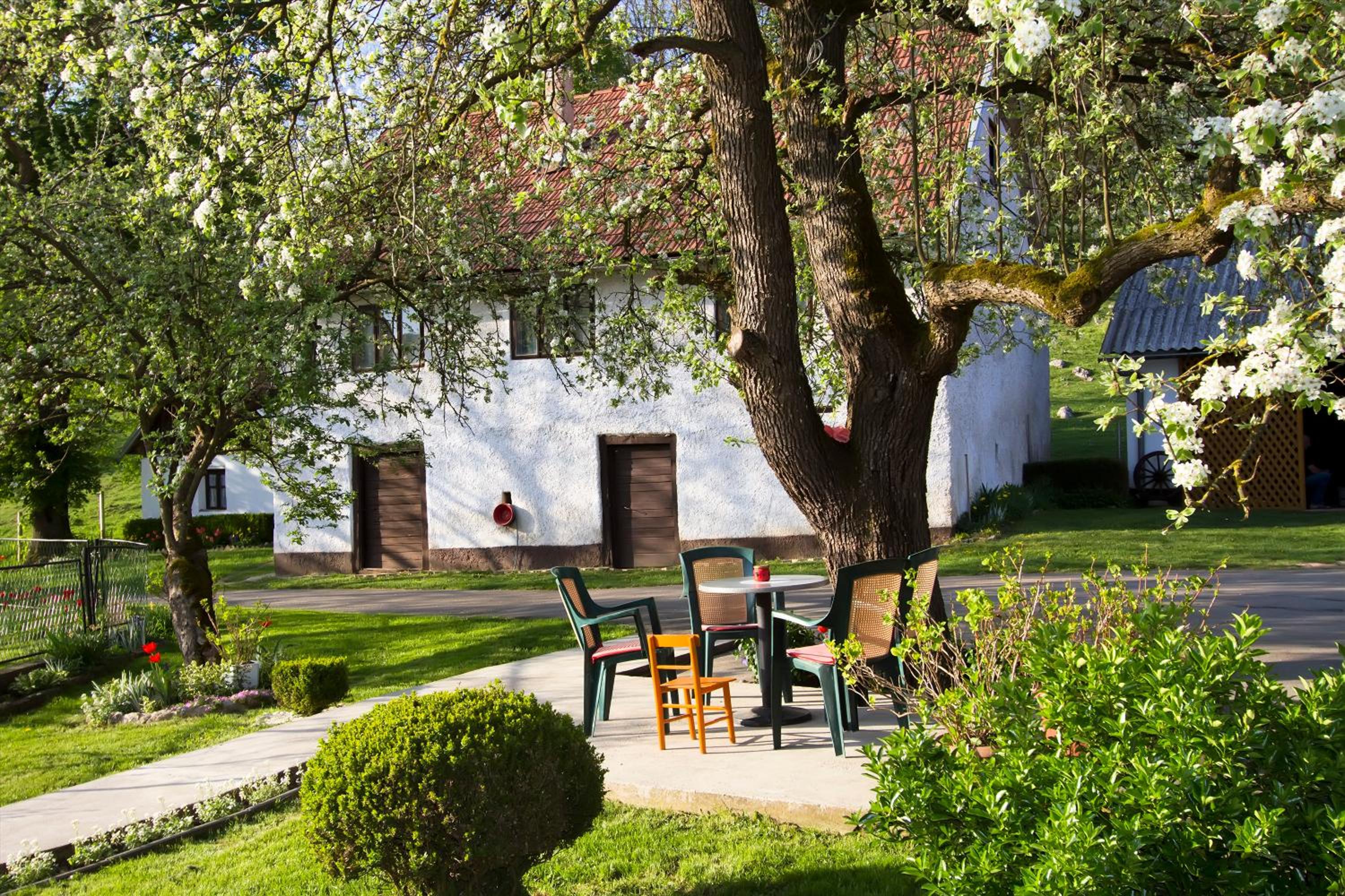 Apartman Karlo