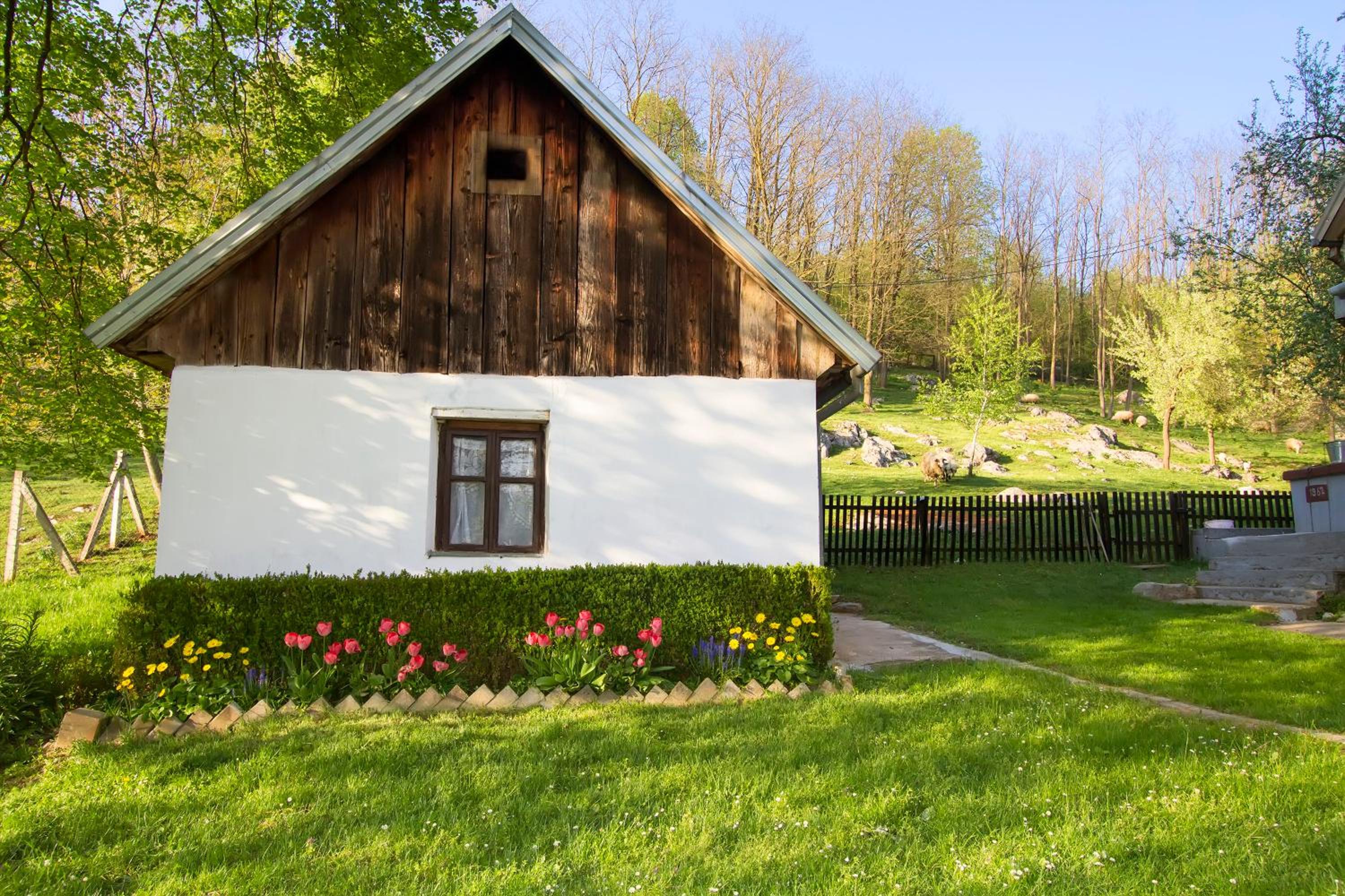 Apartman Karlo