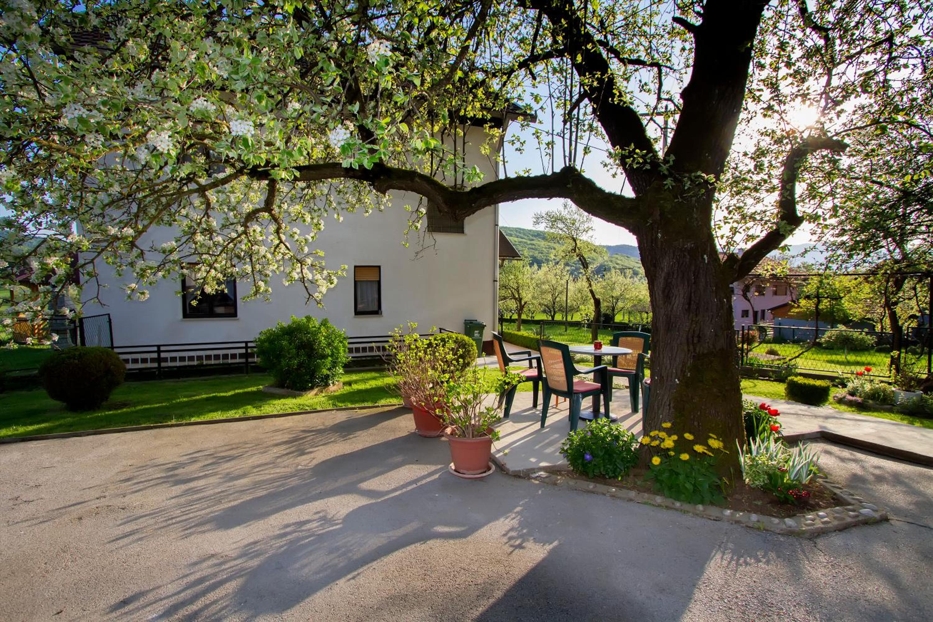 Apartman Karlo