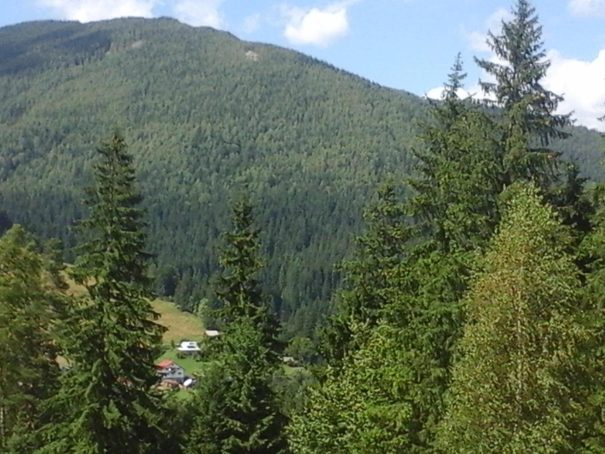 Romashka Guest House view 5