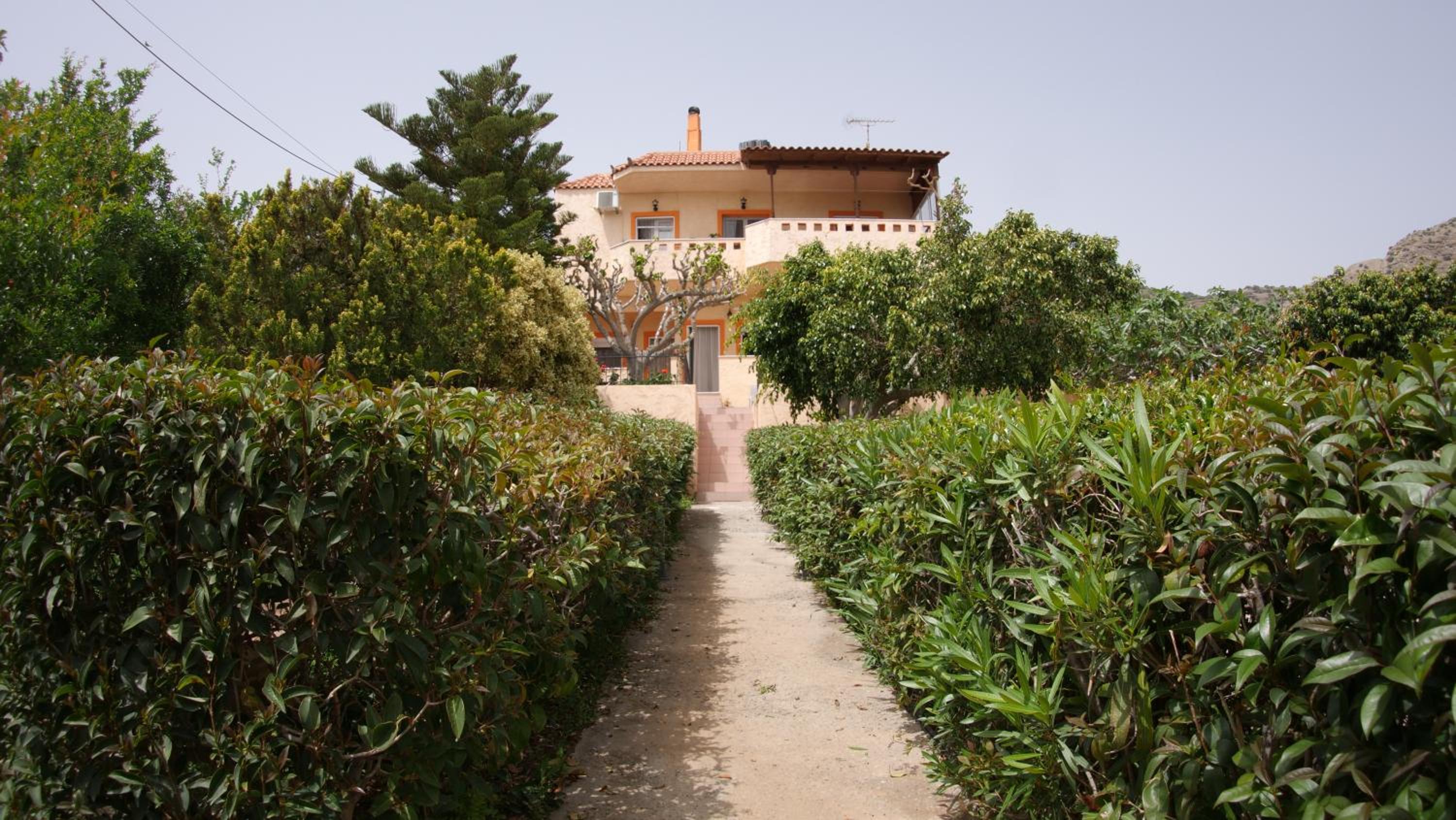 Photo 19