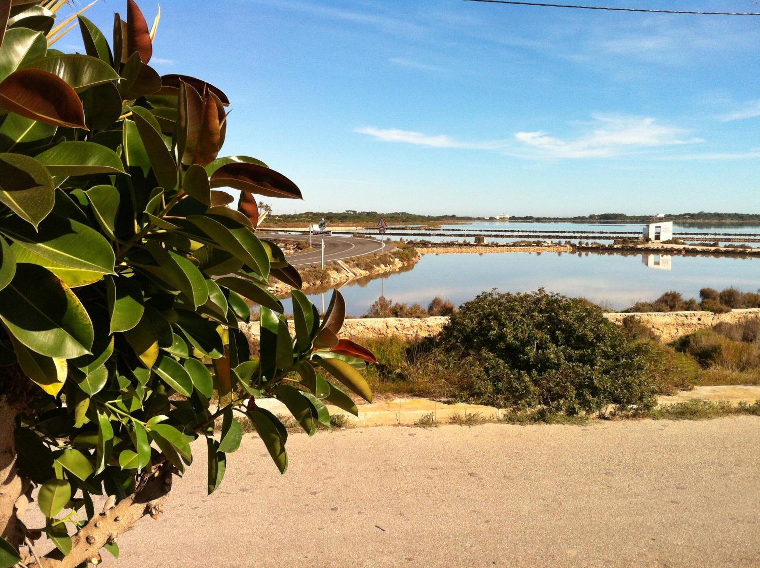 Apartamentos Eugenio by Formentera Passport