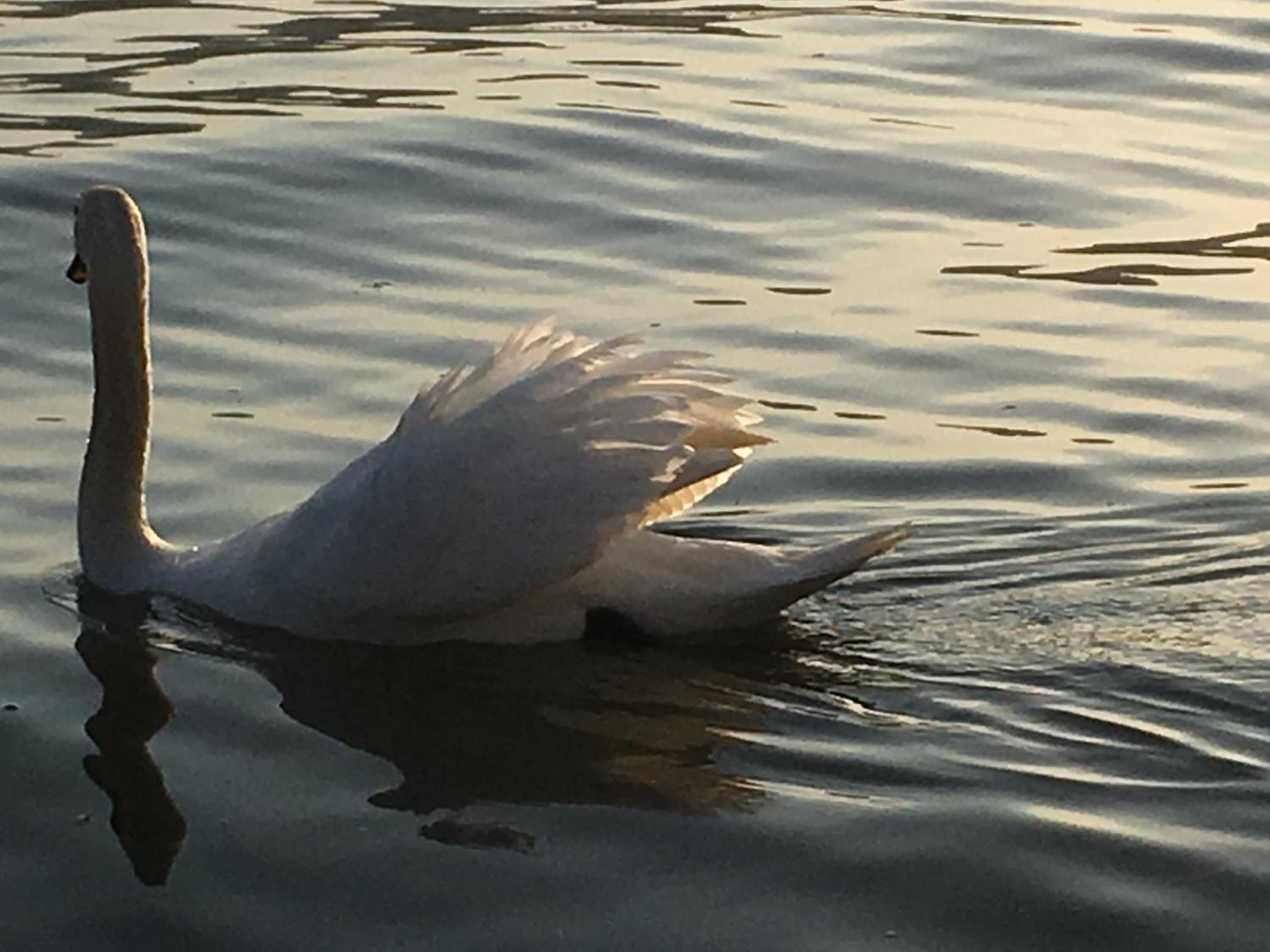 Photo 49