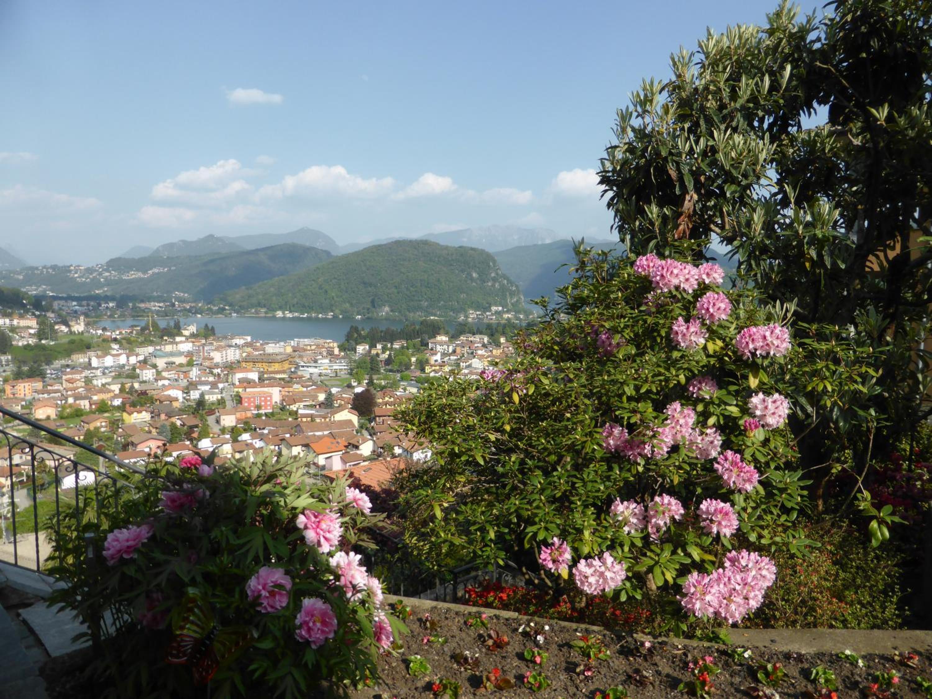 Villa Banfi, photo 41
