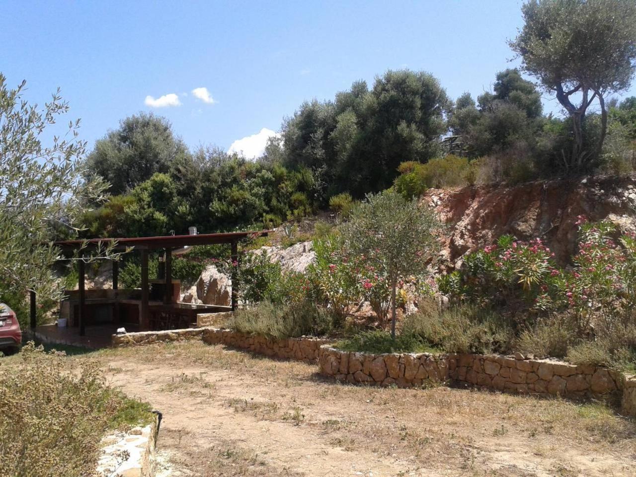 Photo 41