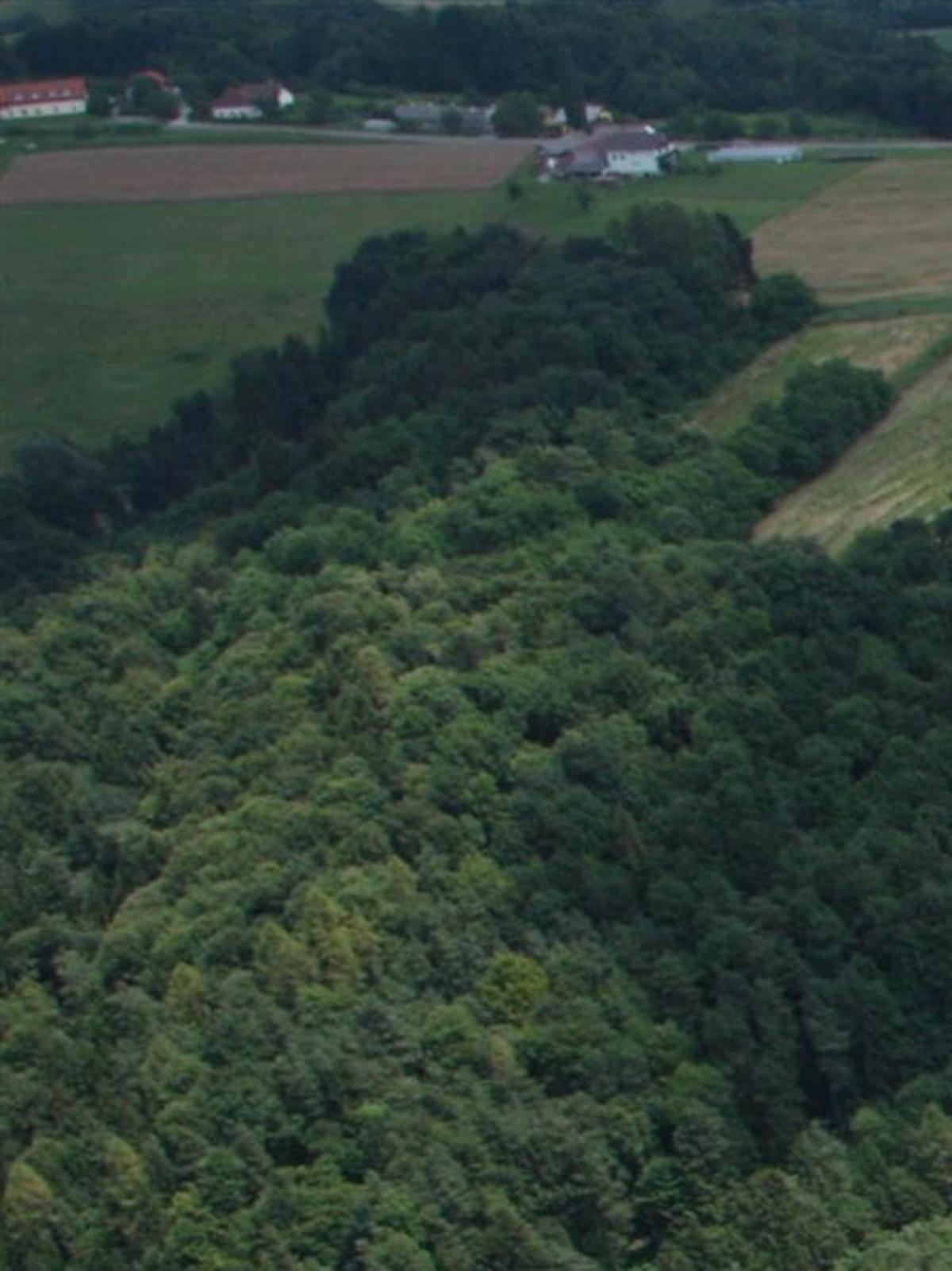 Grad Goričko view 5