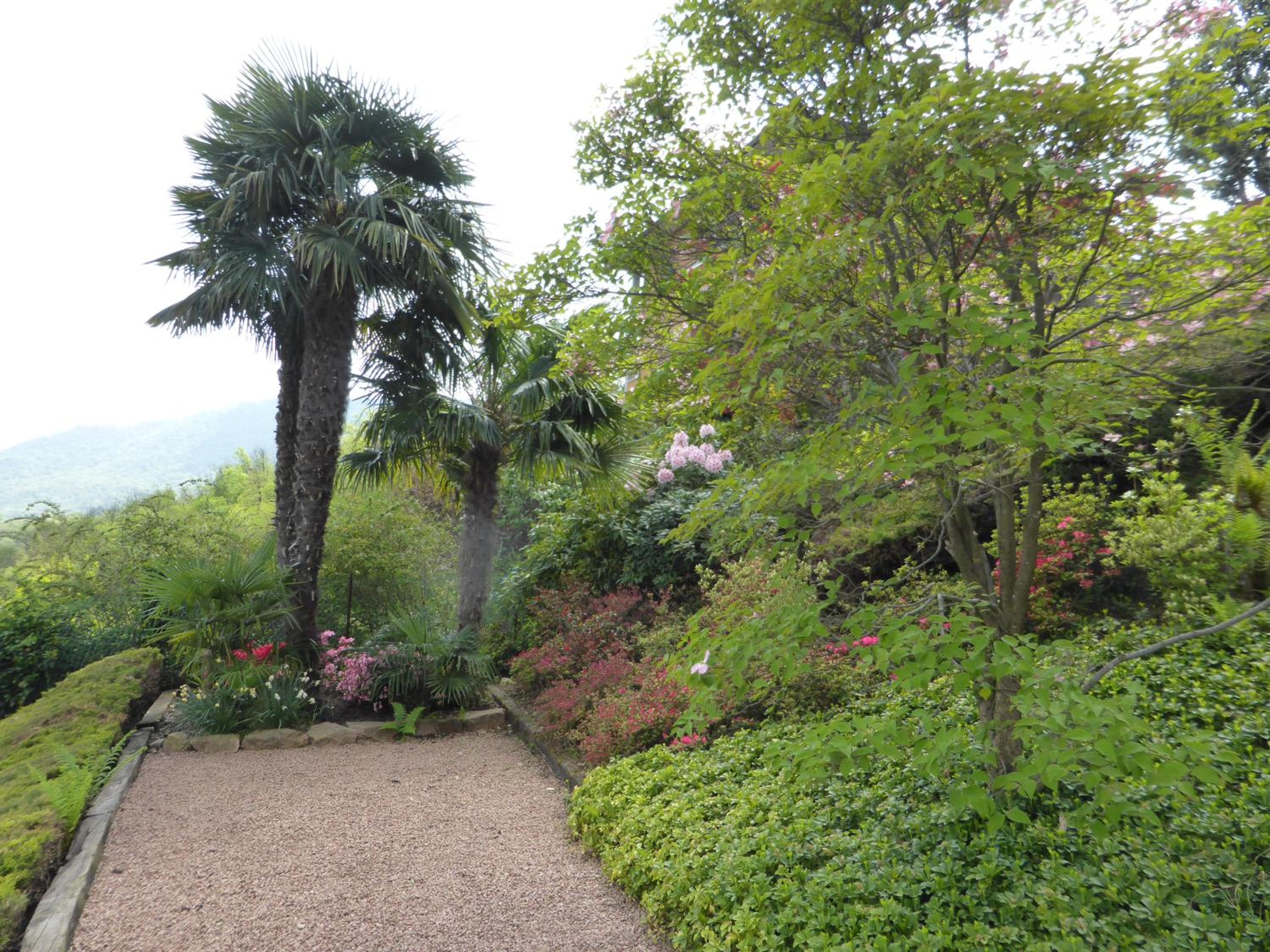 Villa Banfi, photo 4