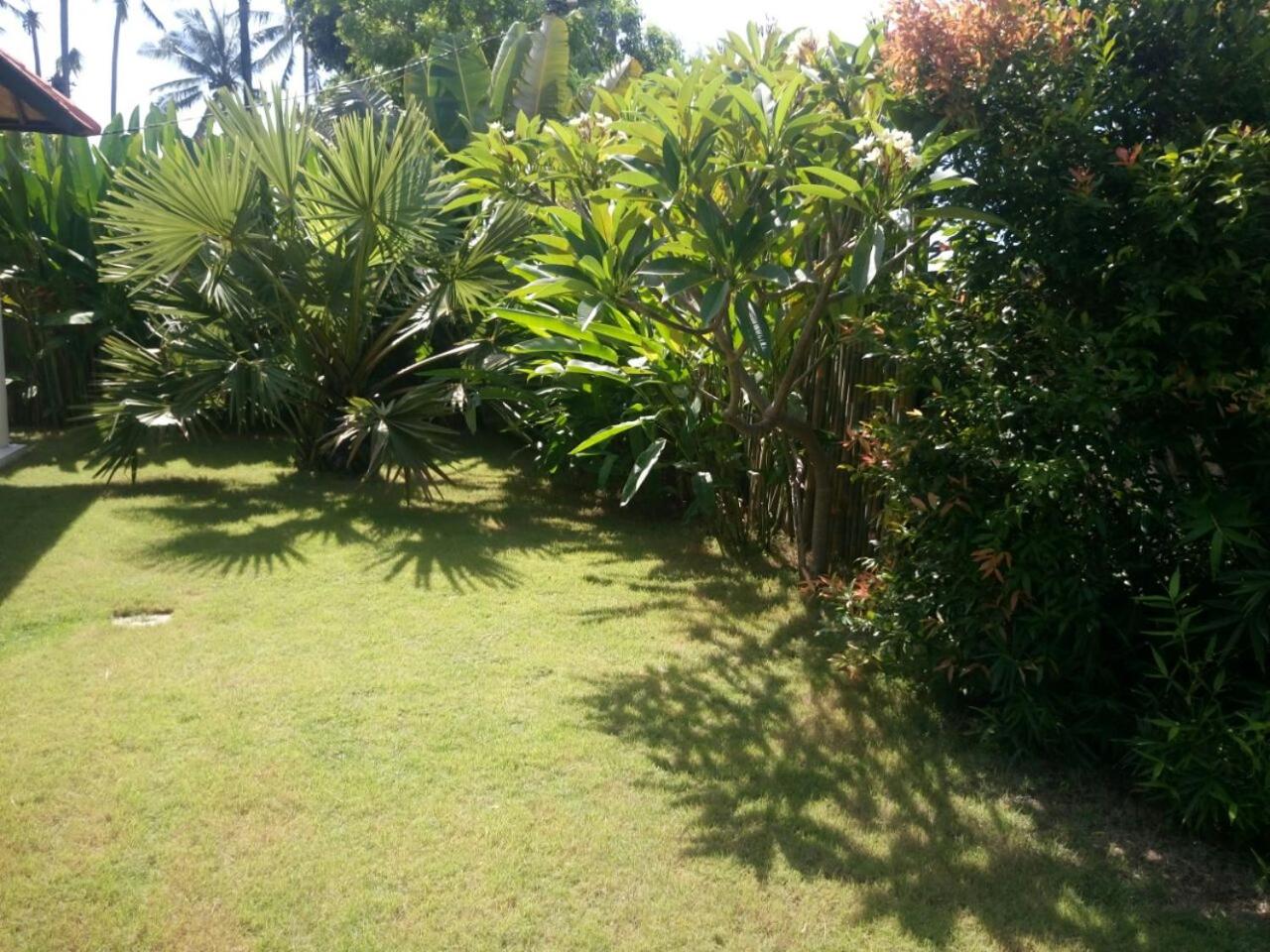 Photo 43