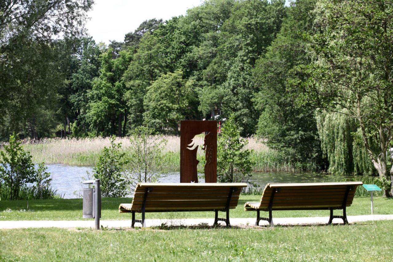 Ferienwohnung Christiane in der Villa zum Kronprinzen direkt gegenuber der SaarowTherme - Property Image 21