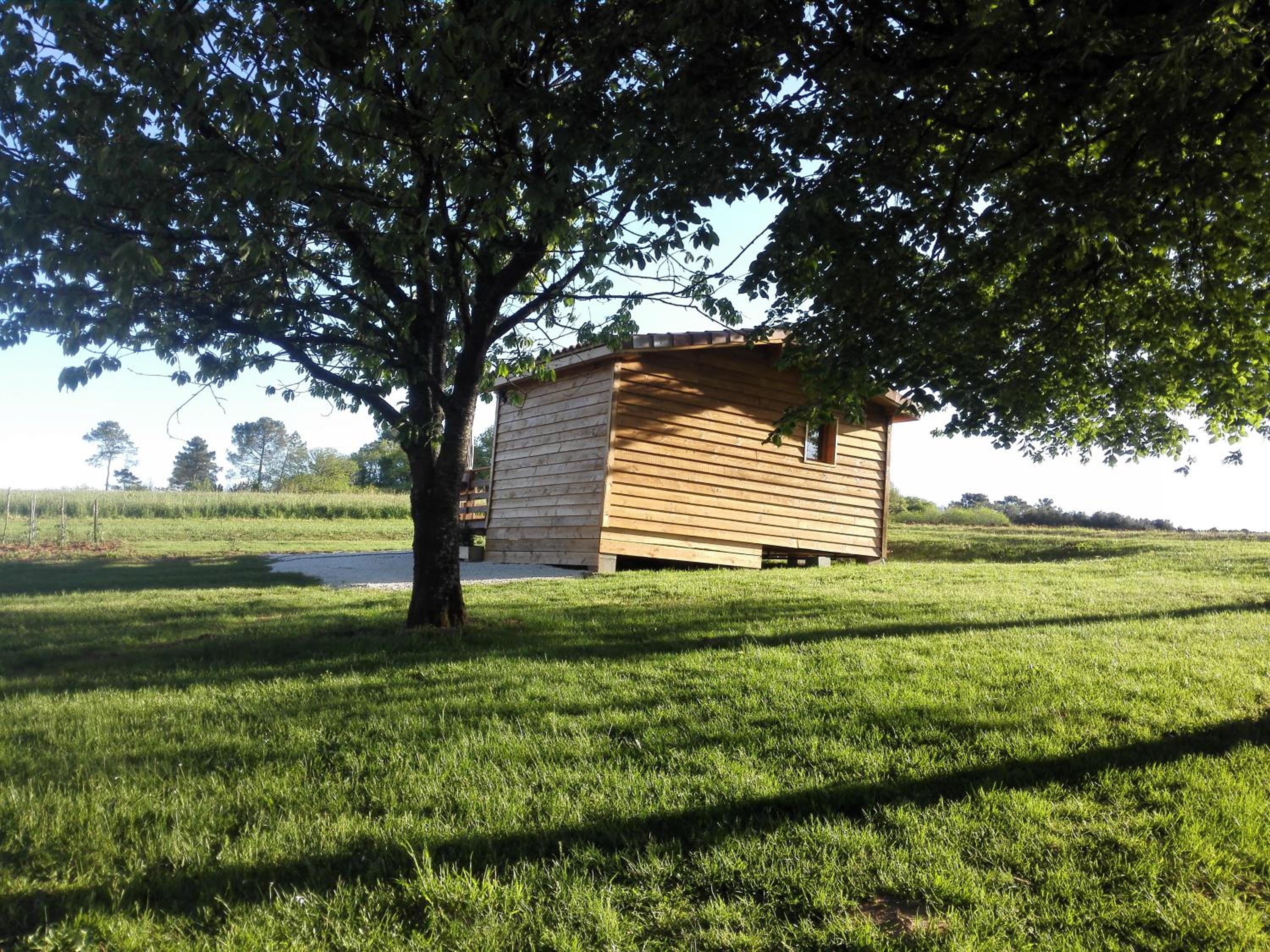 Photo 18