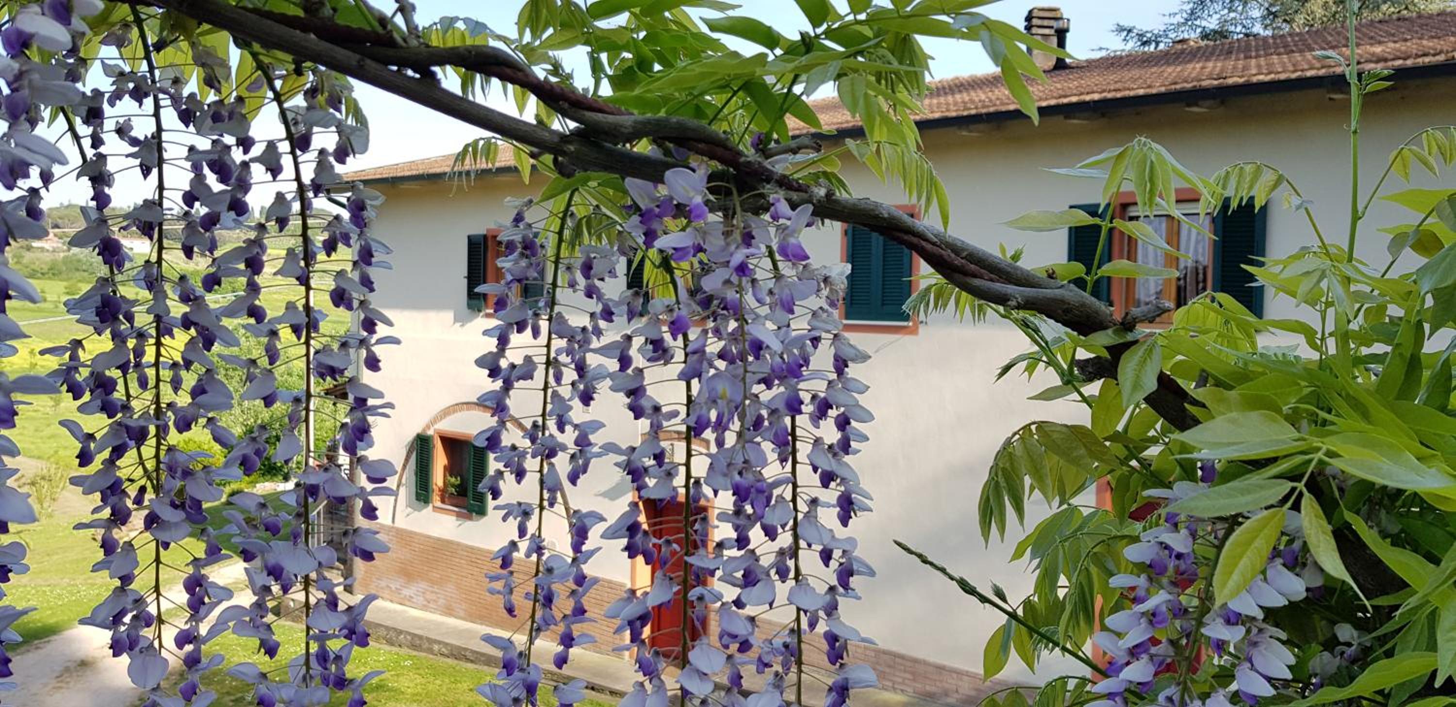 Podere Chiasso Gherardo view 4