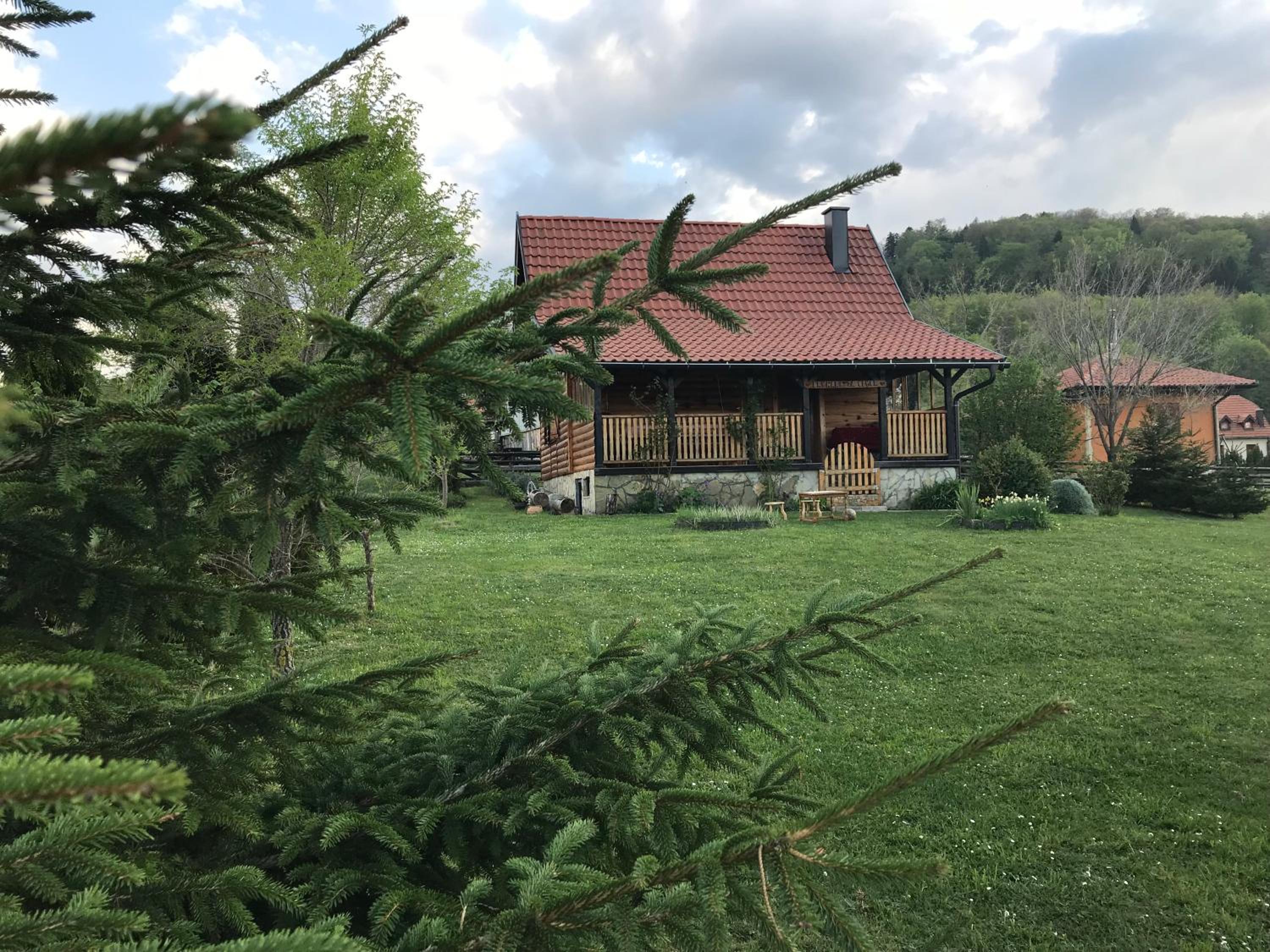 Photo 19