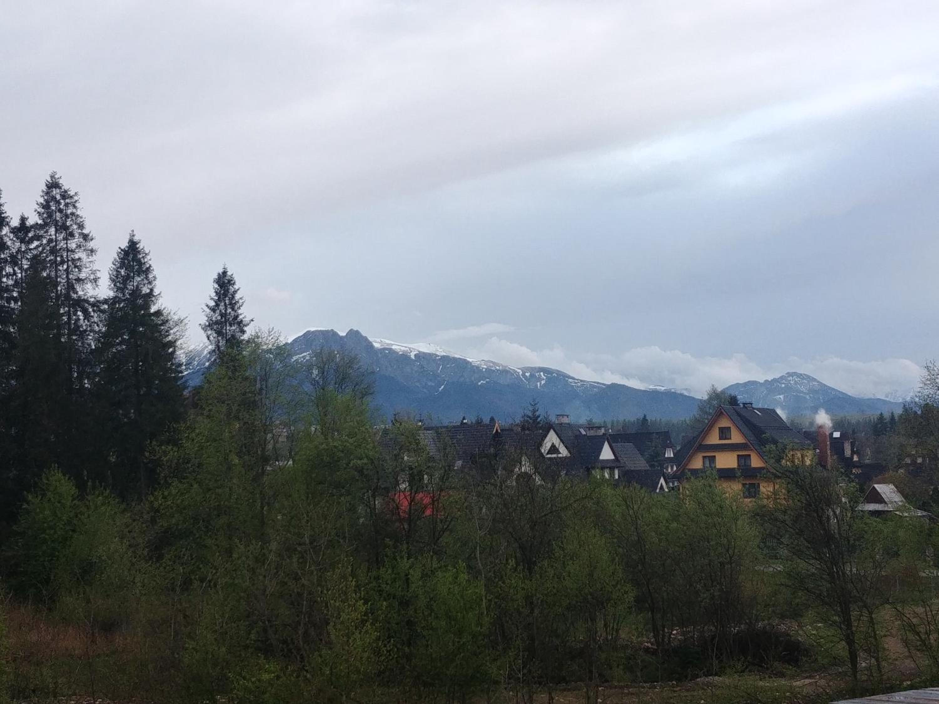 Photo 39