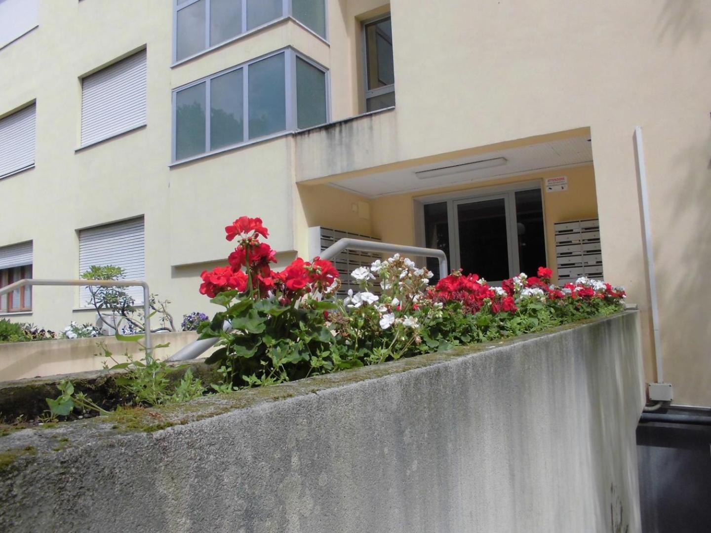 Photo 22